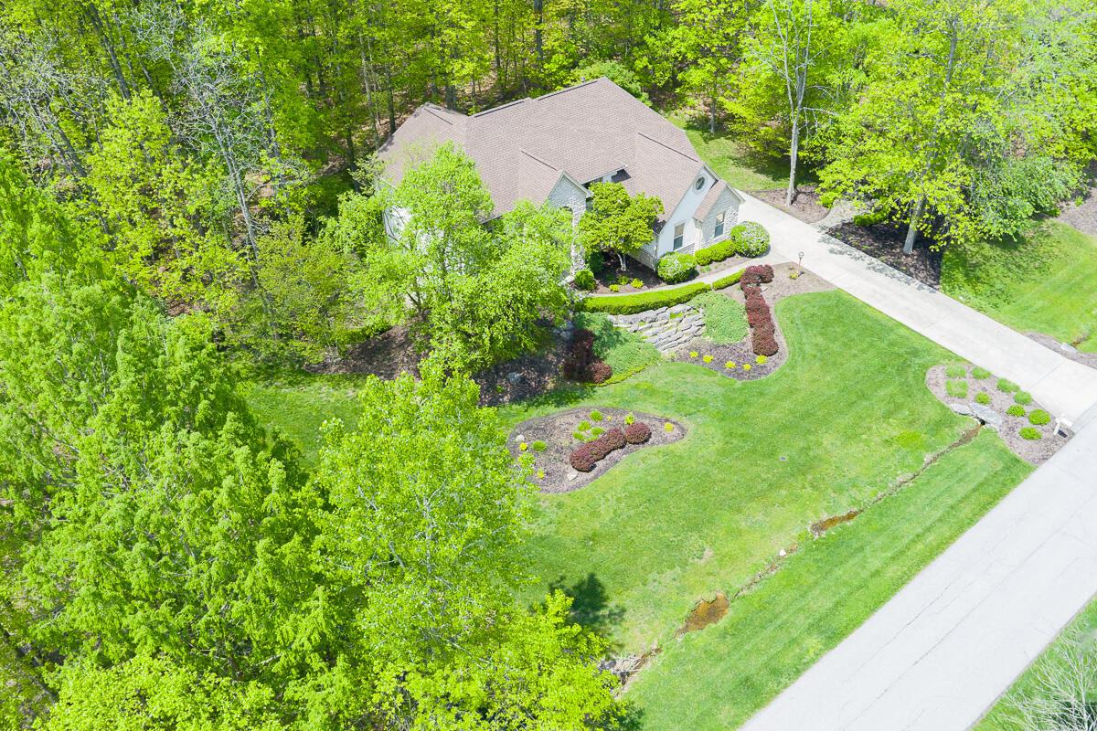 8884 Filiz Lane Property Photo 79