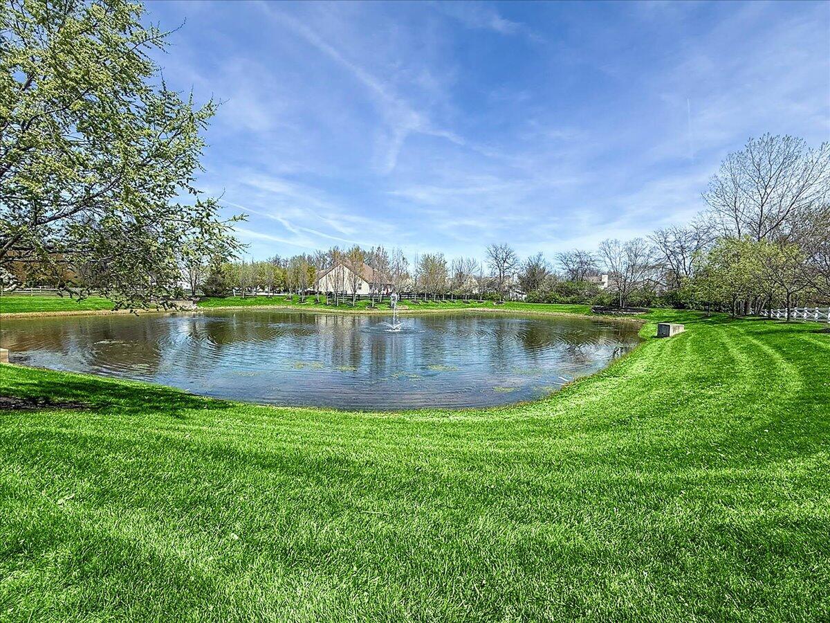 107 Curly Smart Circle Property Photo 3