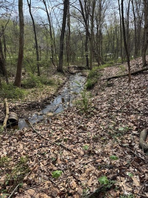 0 Walnut Dowler Road Property Photo 1