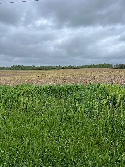 0 Stewart Road Ne Property Photo 2