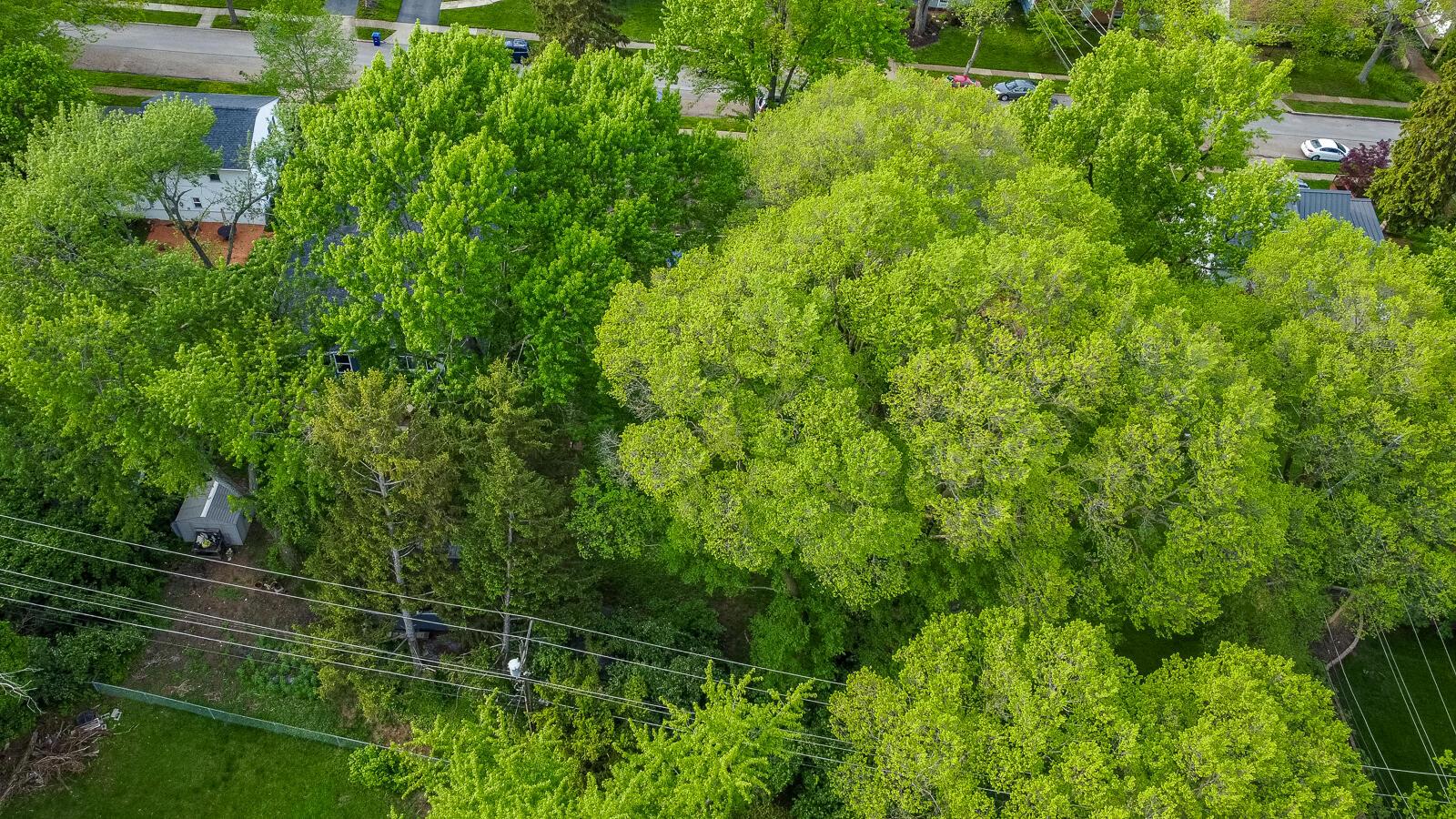 1069 Caniff Road Property Photo 49