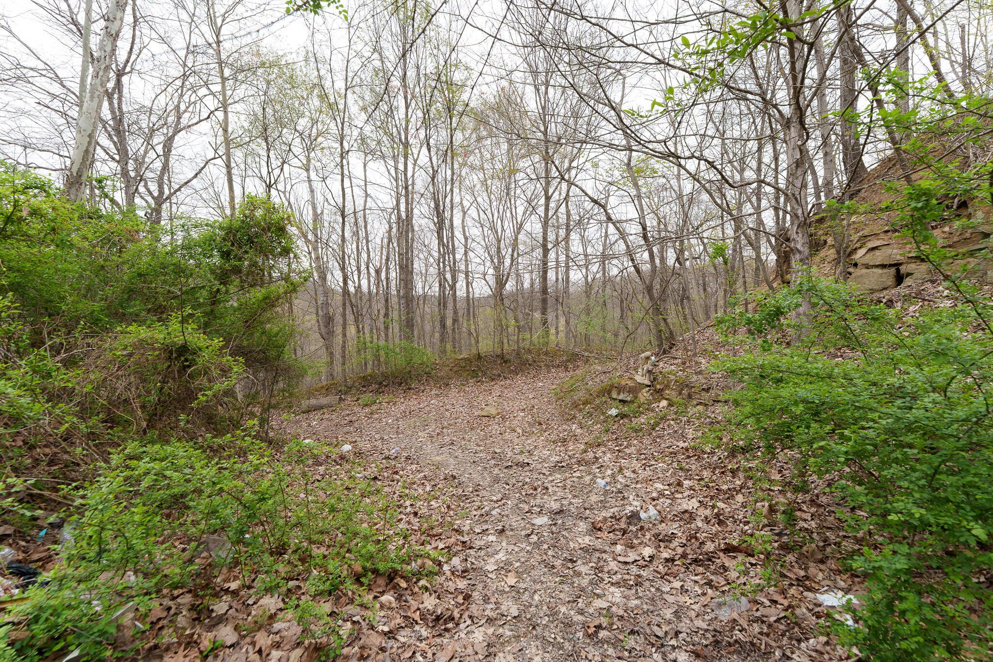 38846 Karnes Road Property Photo 6