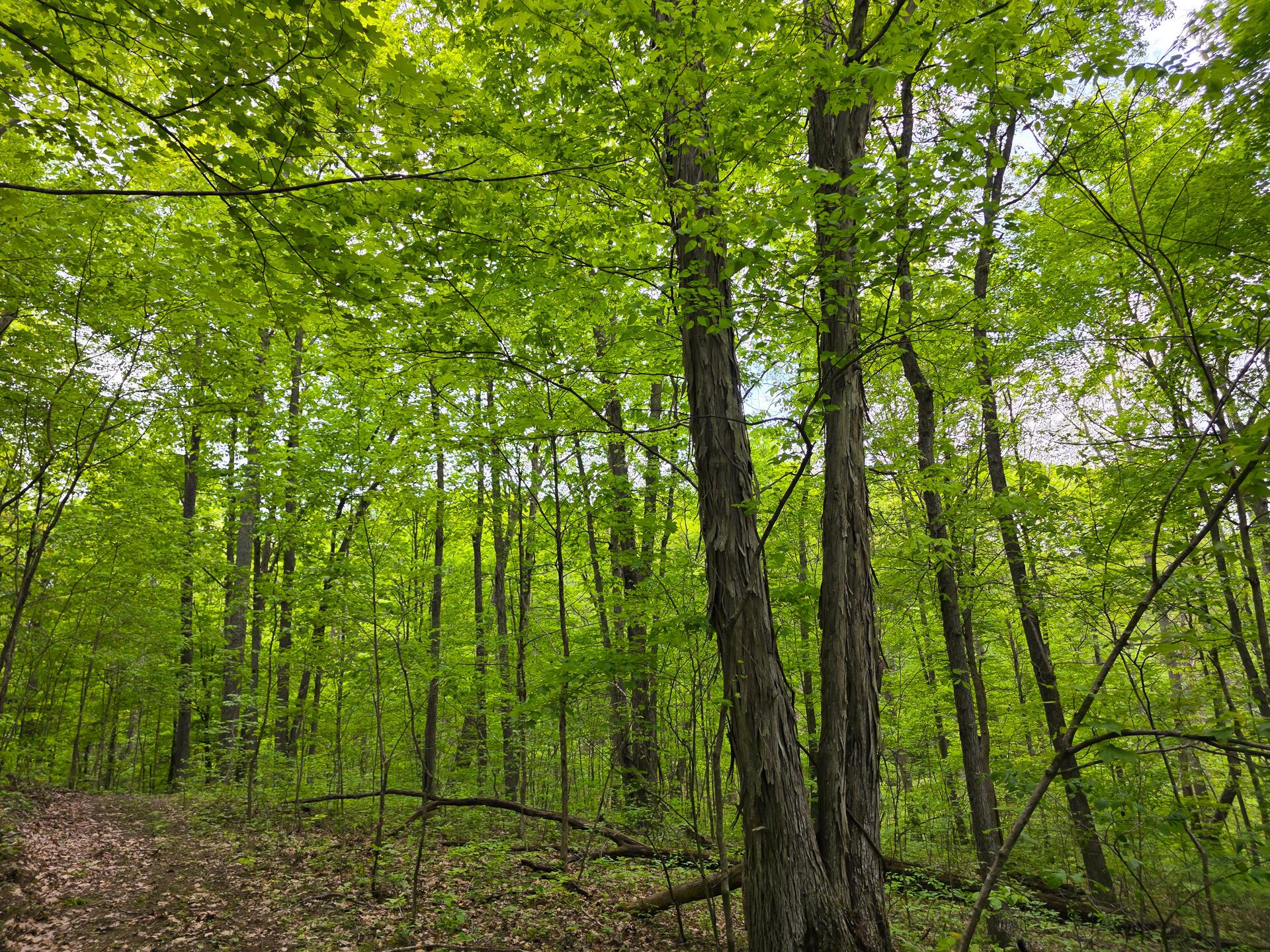 32119 Red Hill Road, (countryside Cabin Big Timber) Property Photo 37