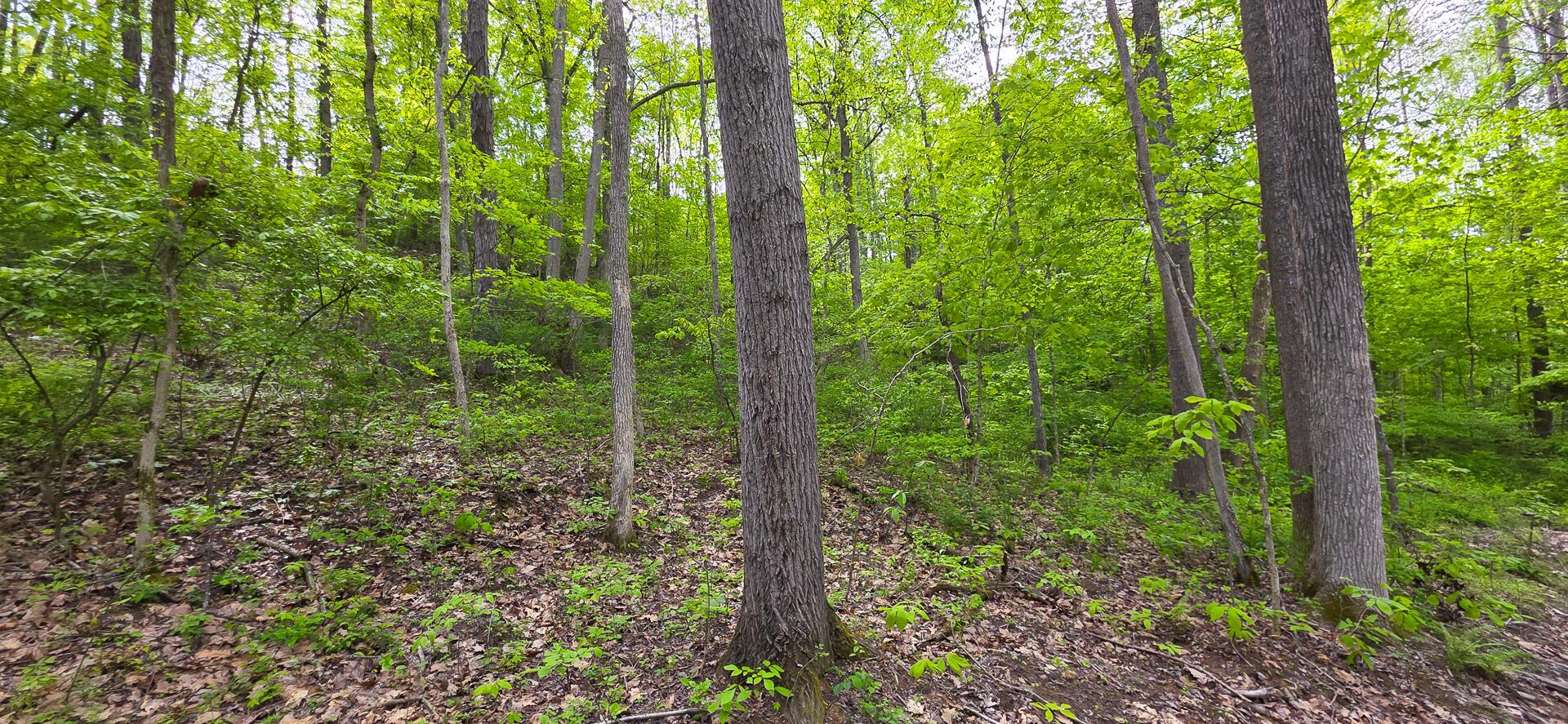 32119 Red Hill Road, (countryside Cabin Big Timber) Property Photo 46