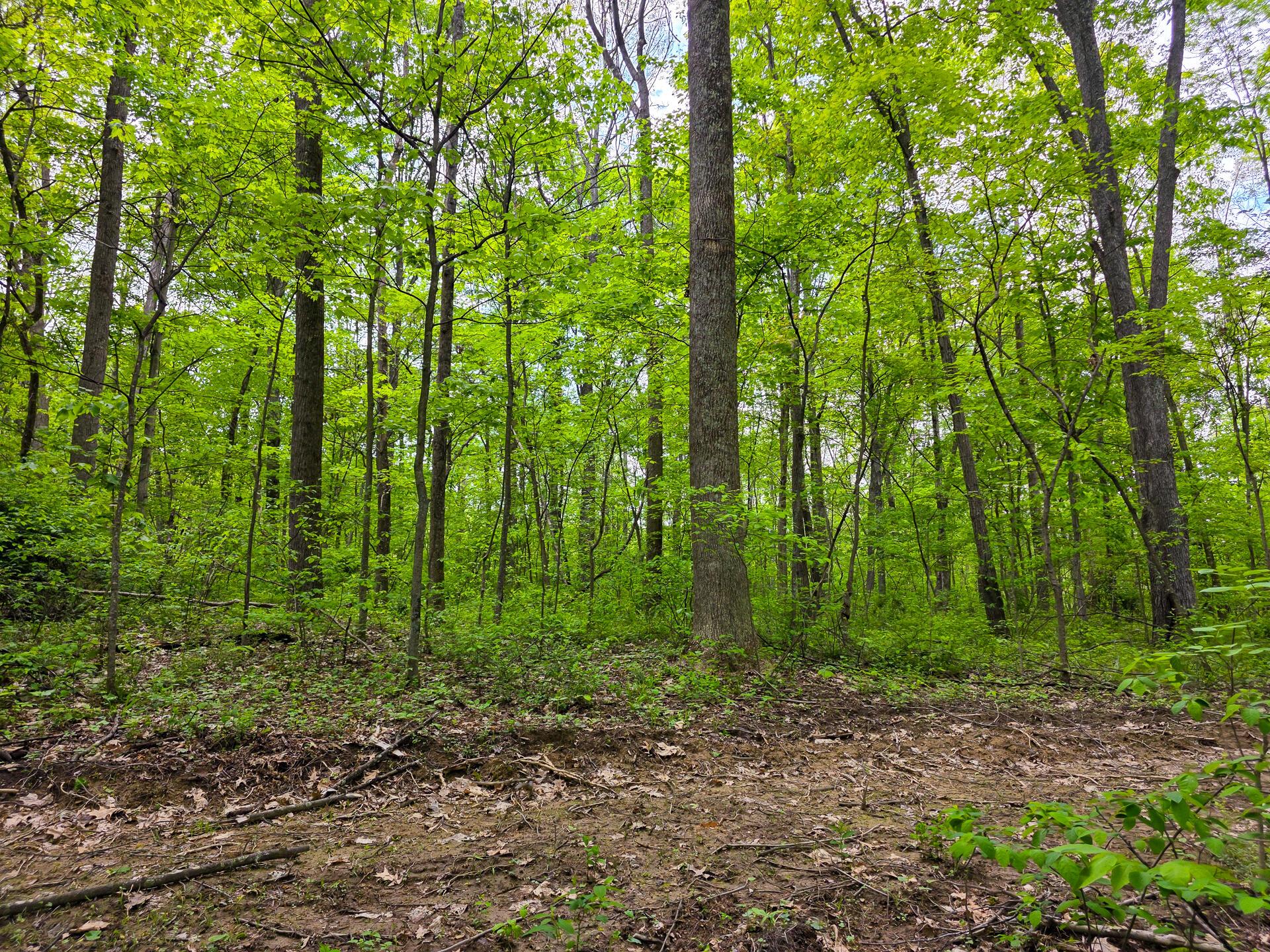 32119 Red Hill Road, (countryside Cabin Big Timber) Property Photo 53