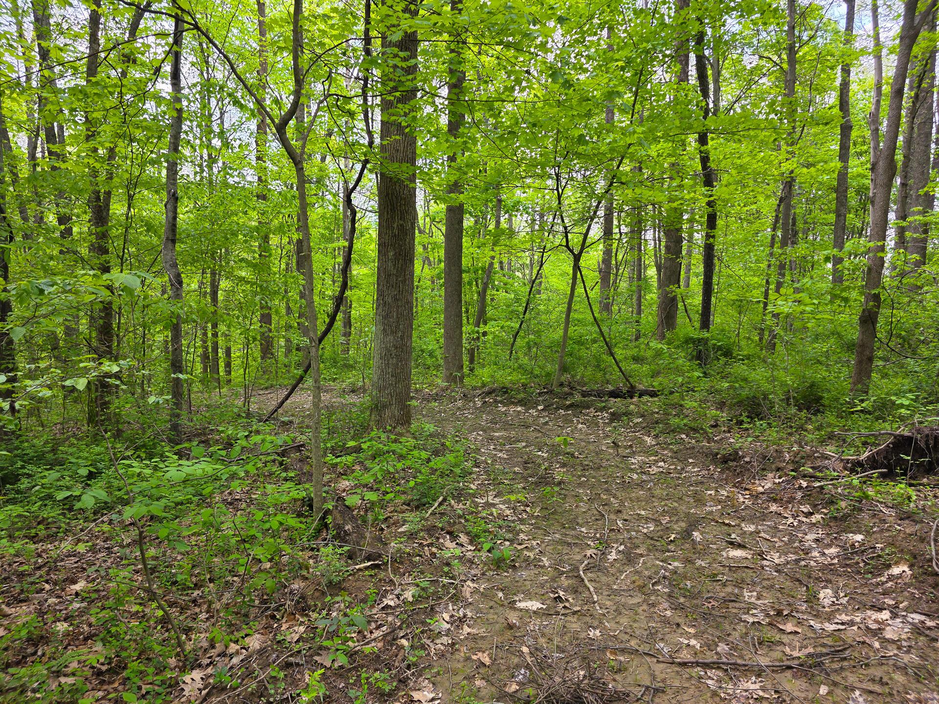 32119 Red Hill Road, (countryside Cabin Big Timber) Property Photo 60