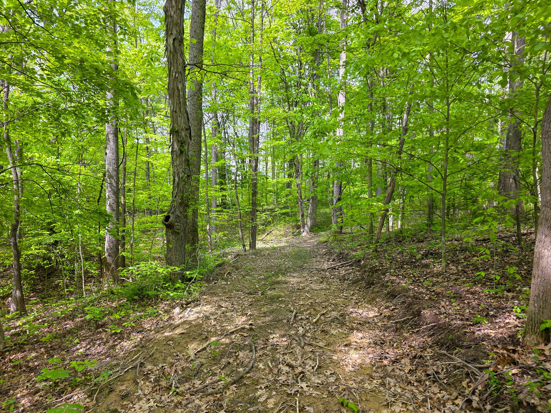 32119 Red Hill Road, (countryside Cabin Big Timber) Property Photo 62