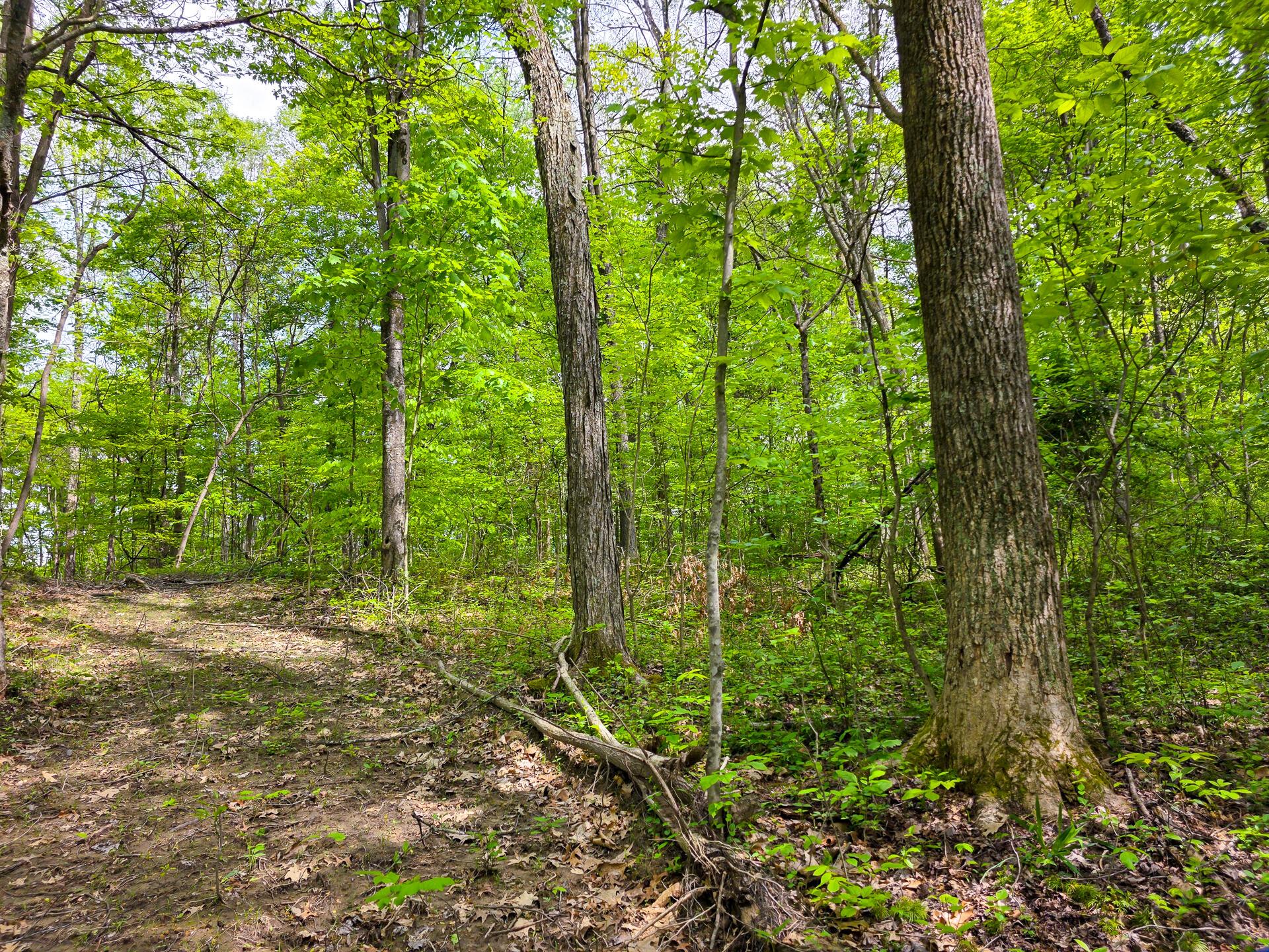 32119 Red Hill Road, (countryside Cabin Big Timber) Property Photo 63