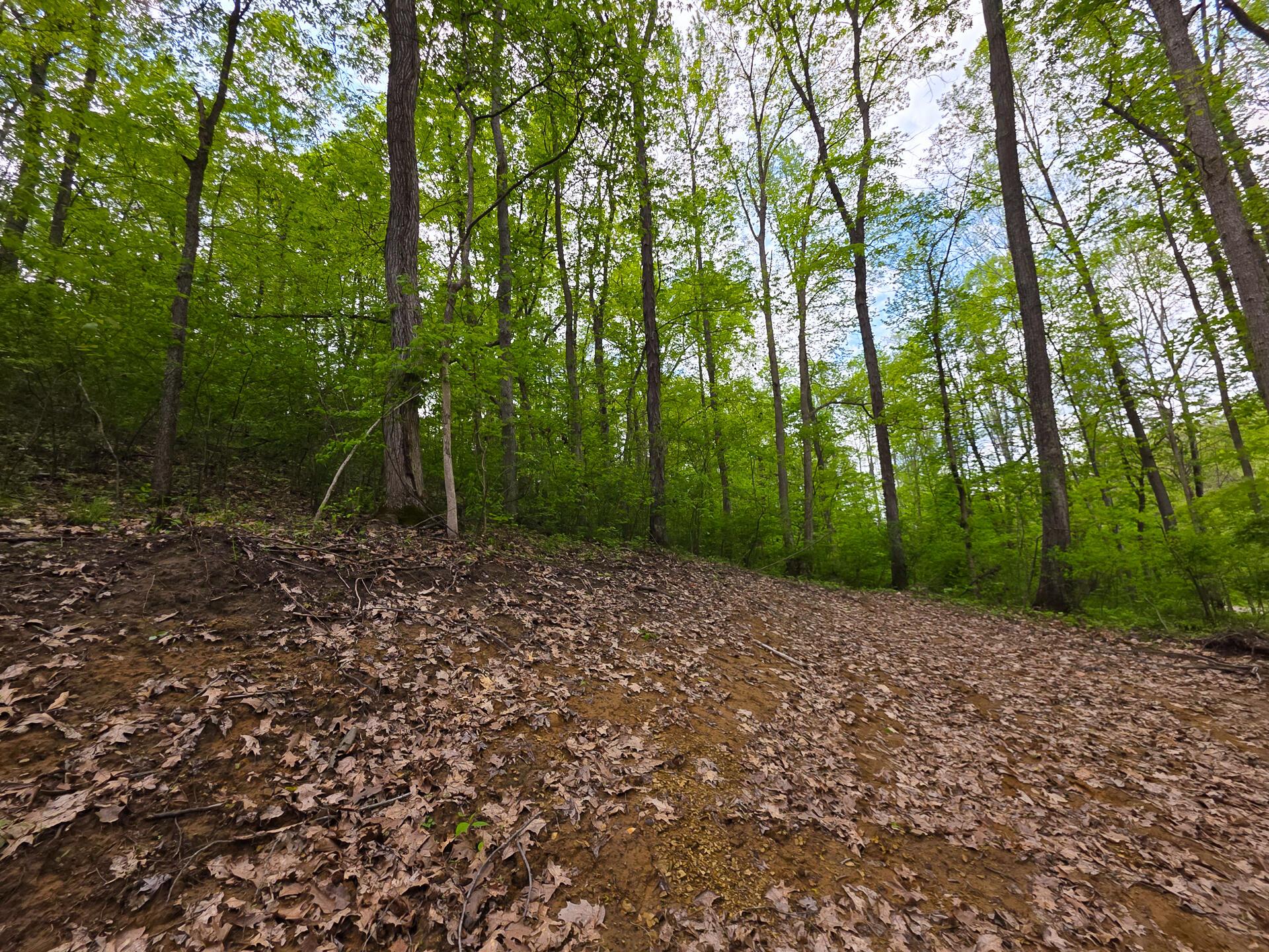 32119 Red Hill Road, (countryside Cabin Big Timber) Property Photo 69