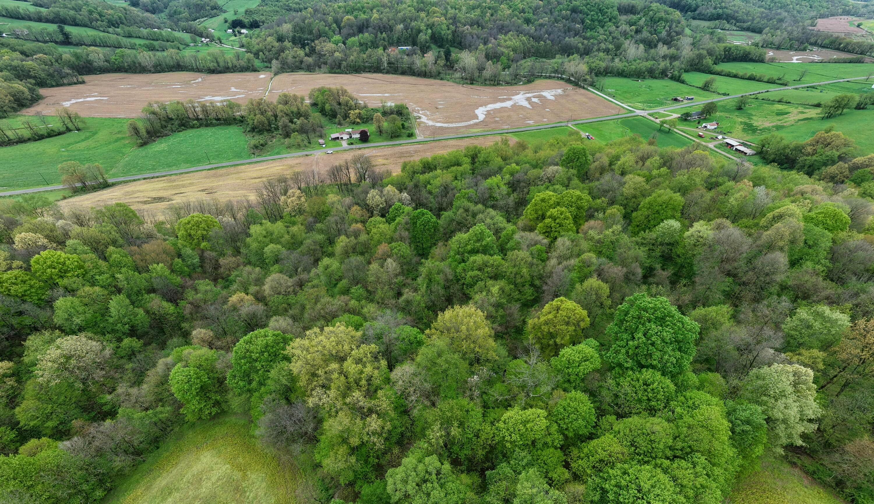 0 State Route 79 Property Photo 4