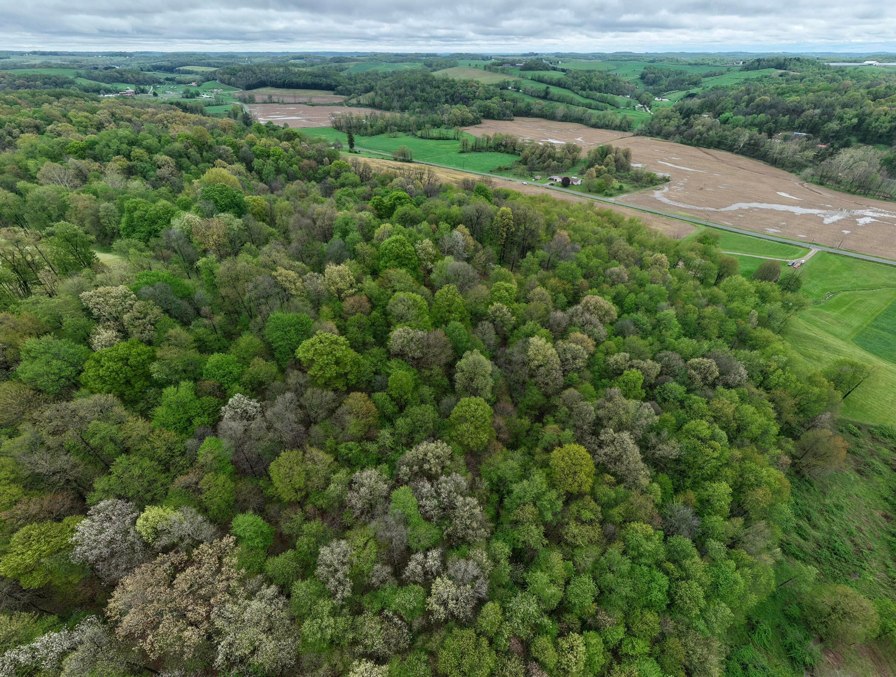 0 State Route 79 Property Photo 5