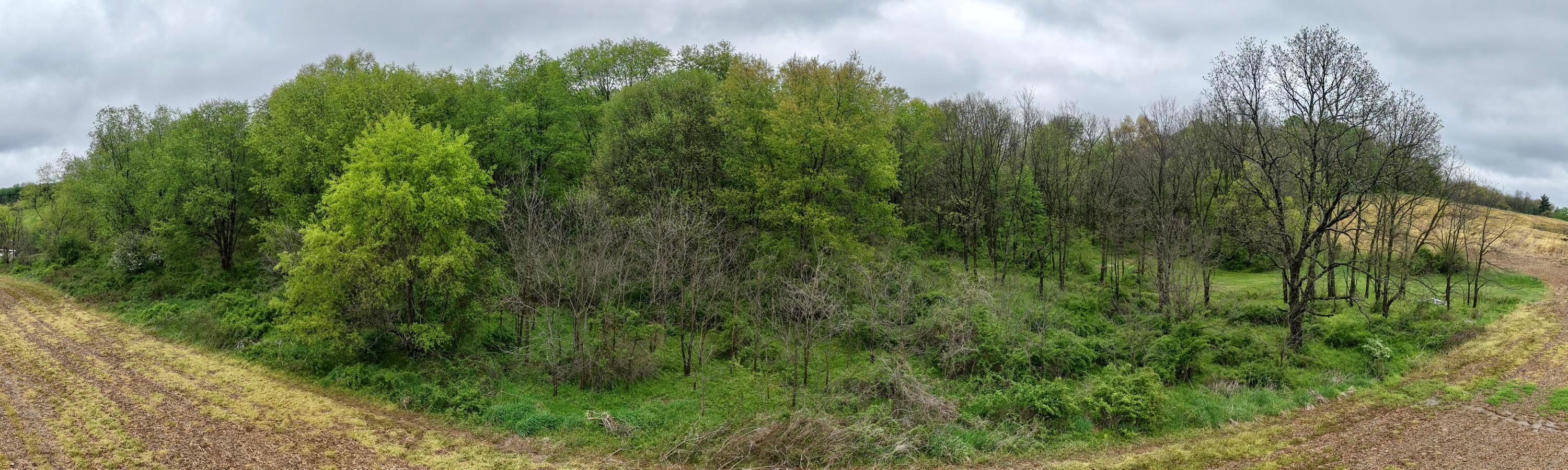 0 State Route 79 Property Photo 6