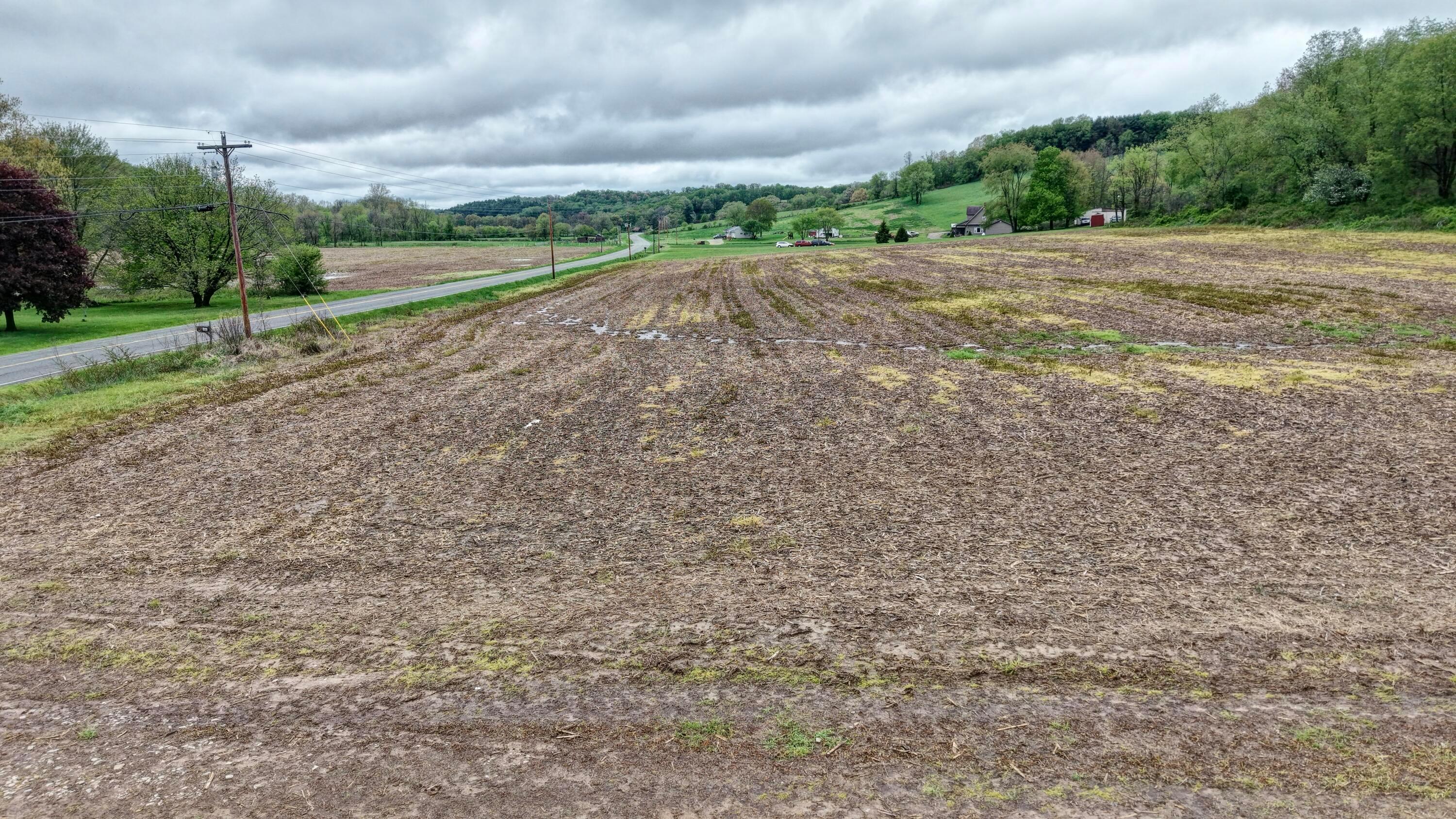 0 State Route 79 Property Photo 8