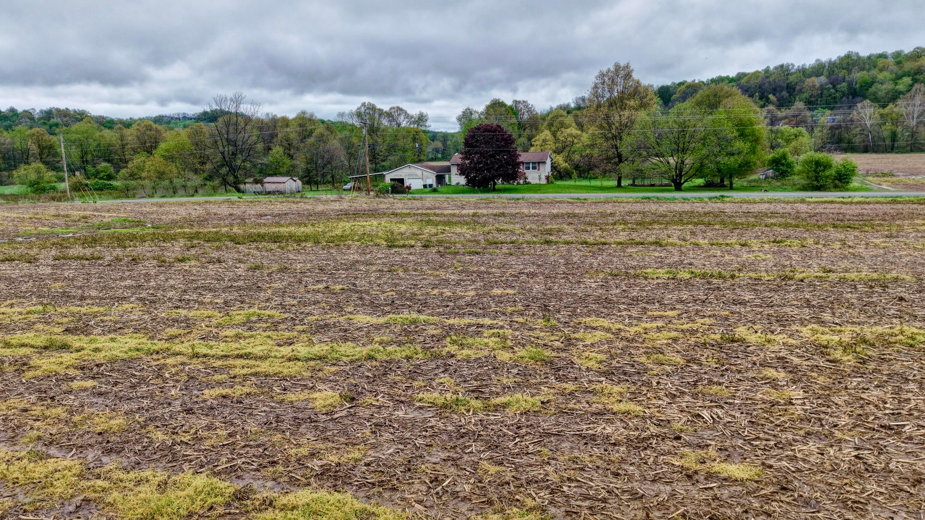 0 State Route 79 Property Photo 12