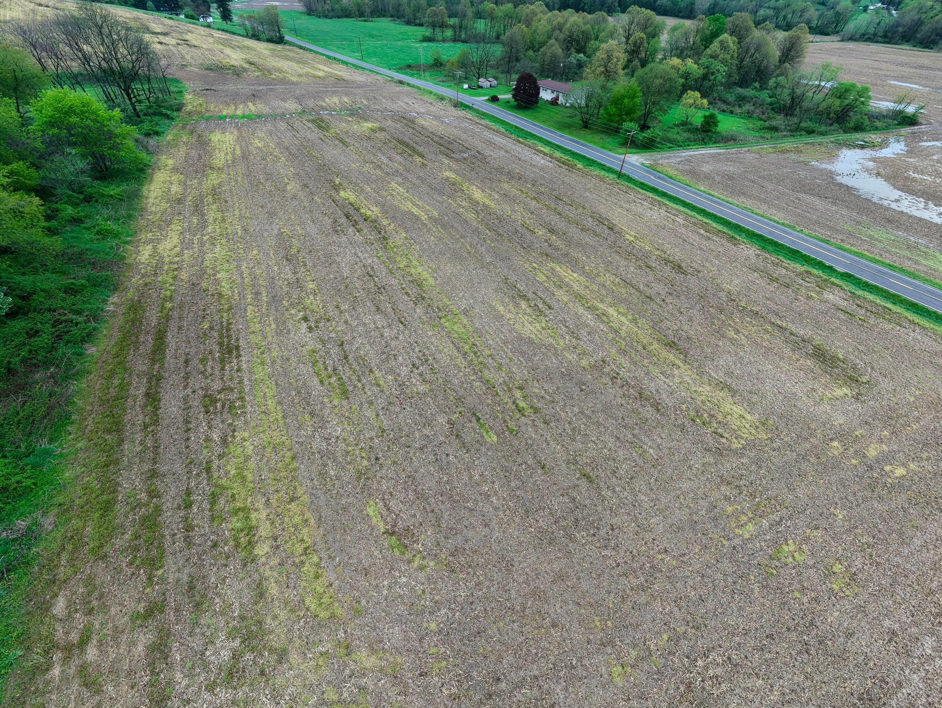 0 State Route 79 Property Photo 14