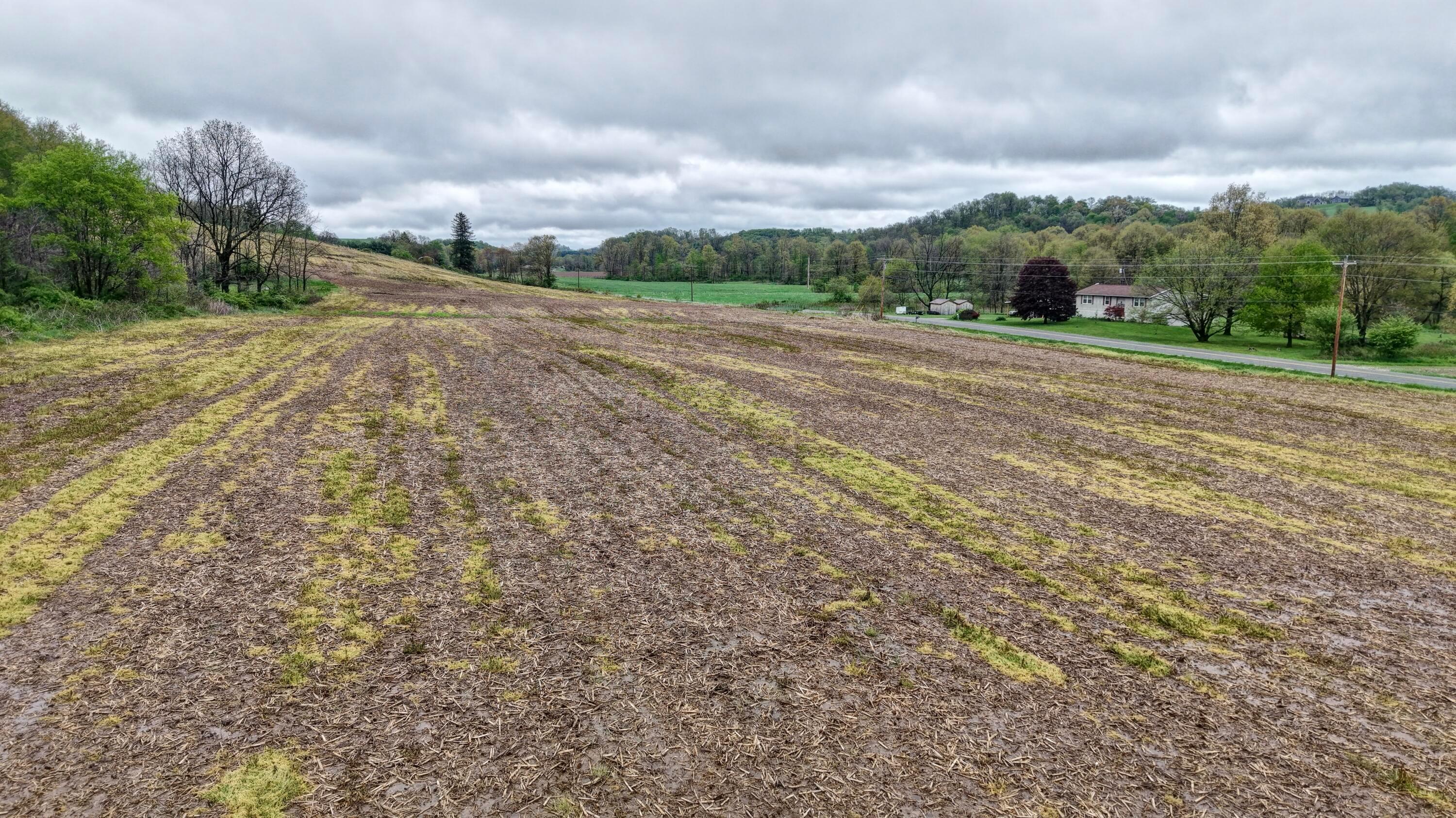 0 State Route 79 Property Photo 15