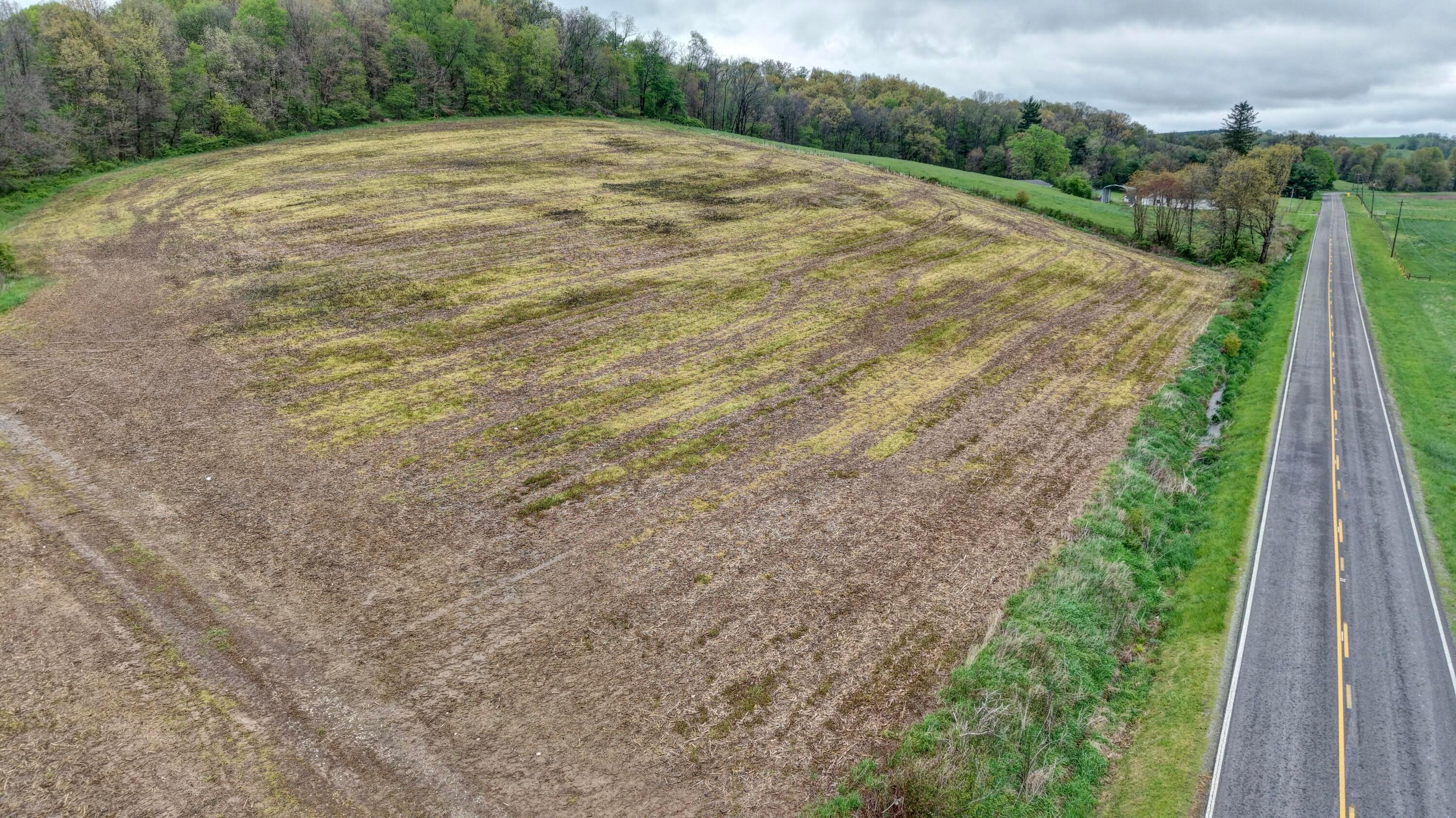 0 State Route 79 Property Photo 17