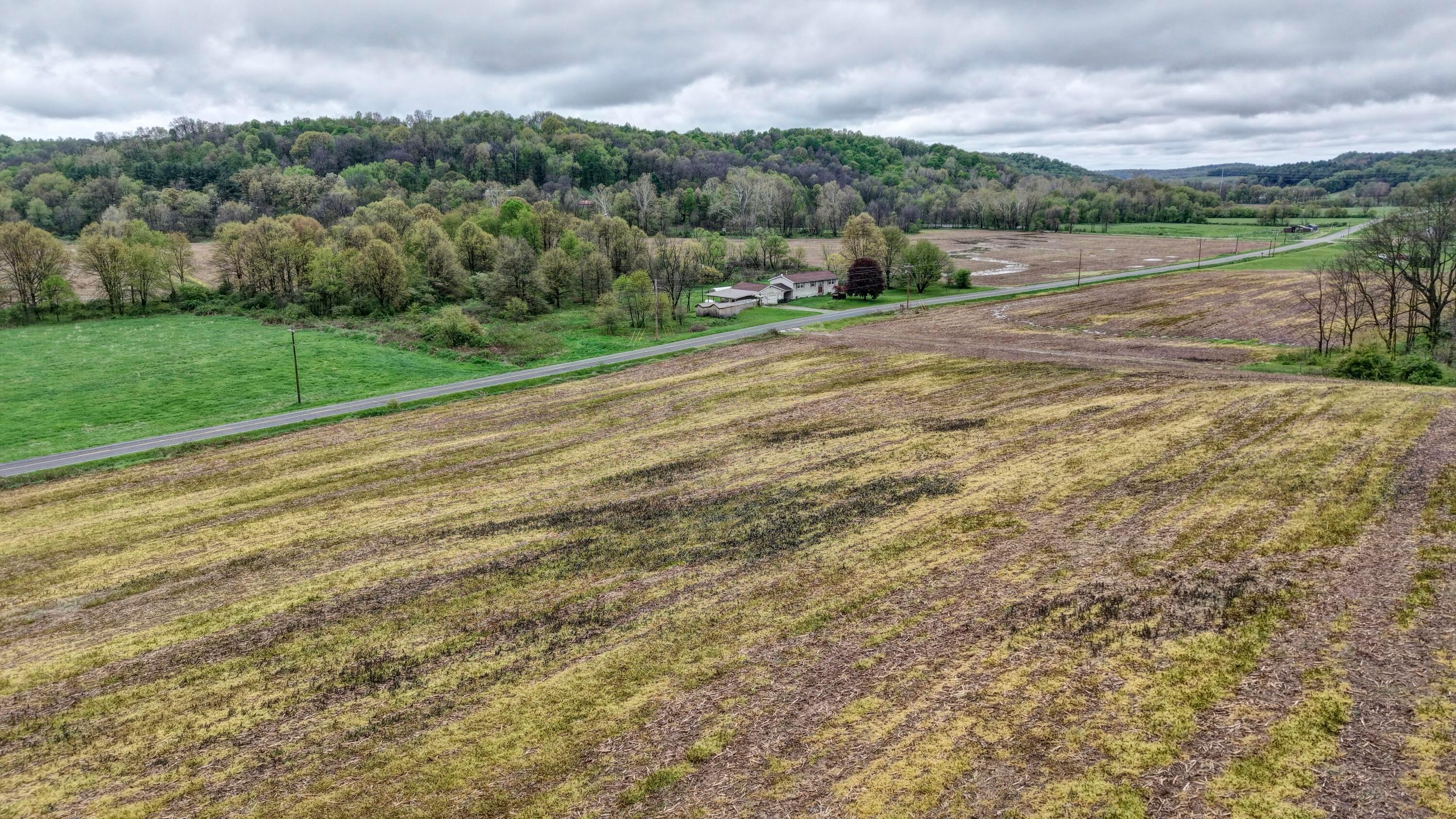 0 State Route 79 Property Photo 18