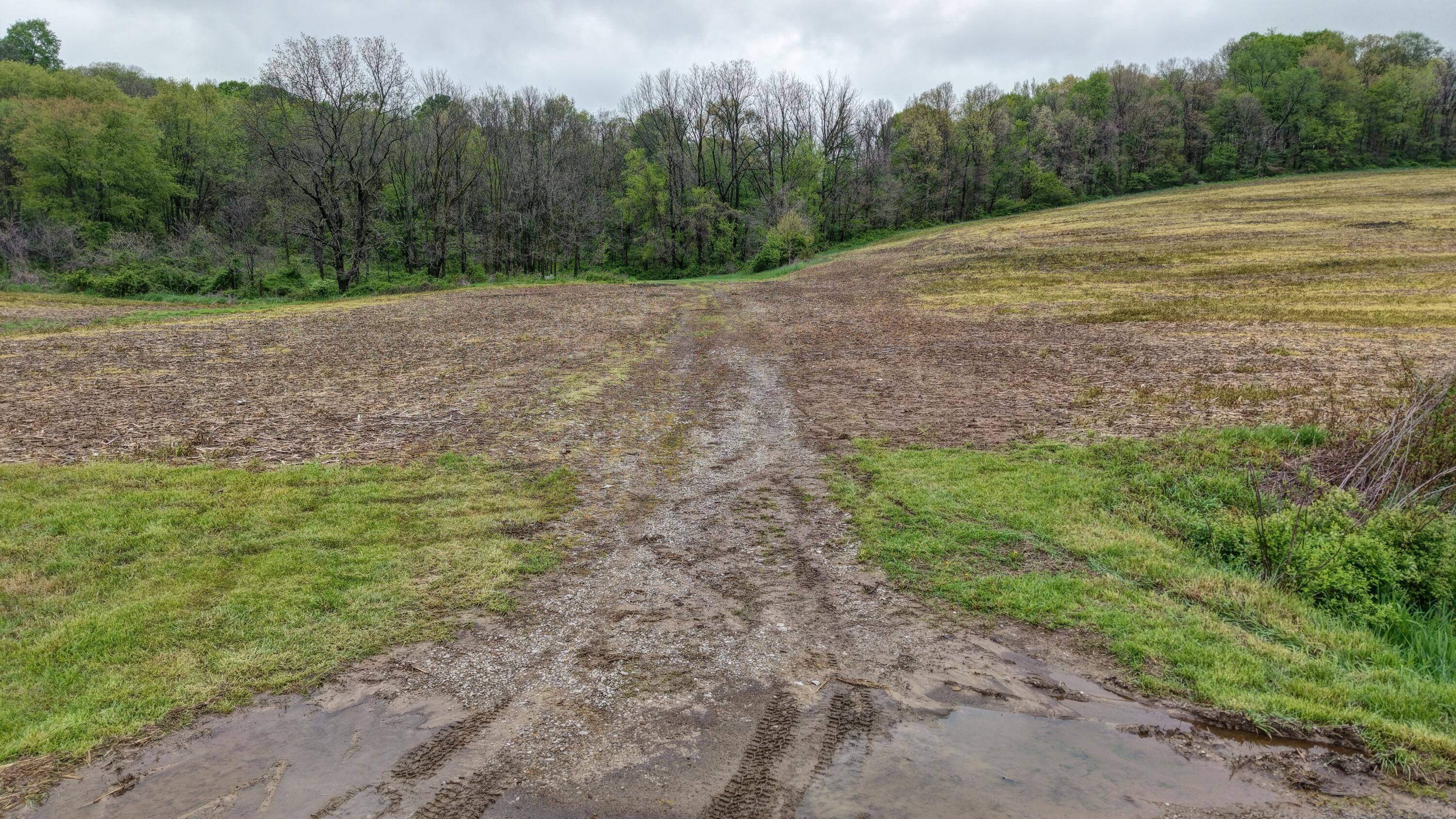0 State Route 79 Property Photo 22