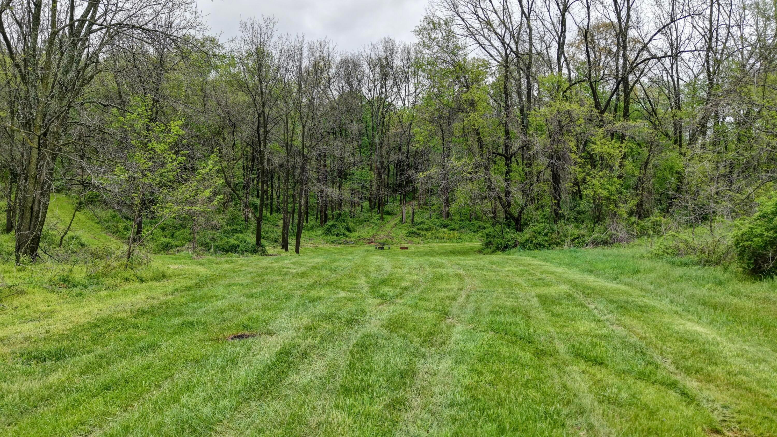 0 State Route 79 Property Photo 23