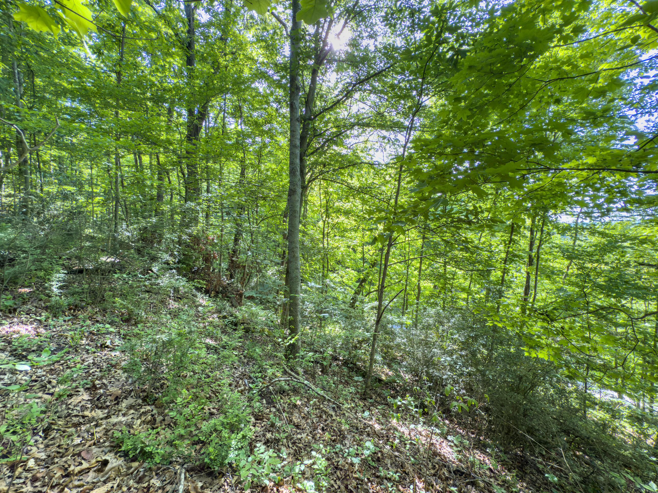 81 Township Road 158 Property Photo 10