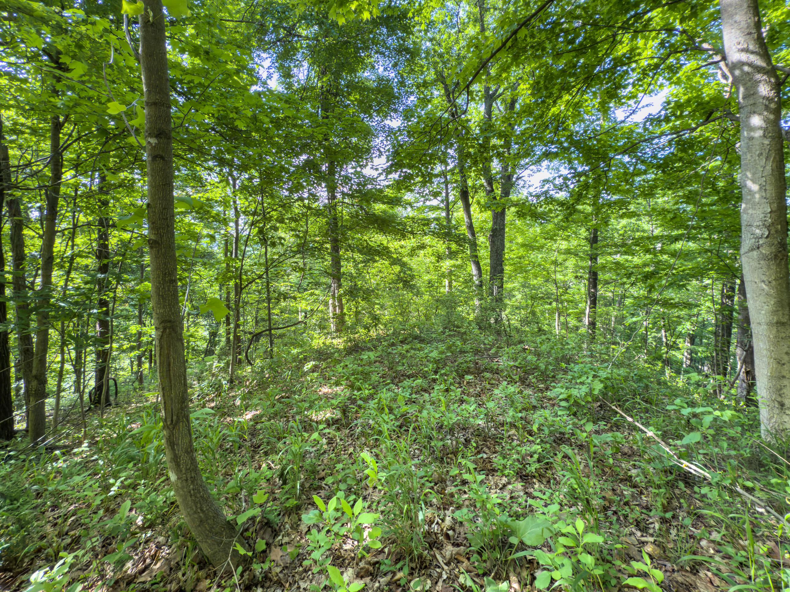 81 Township Road 158 Property Photo 14