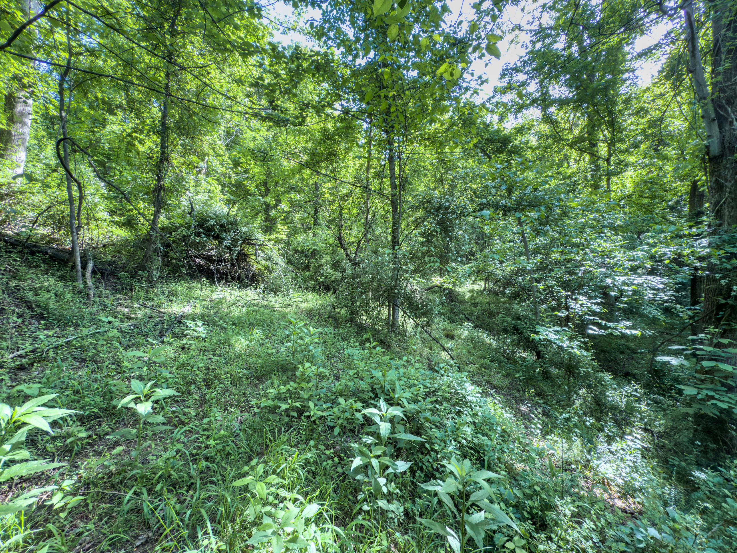 81 Township Road 158 Property Photo 16