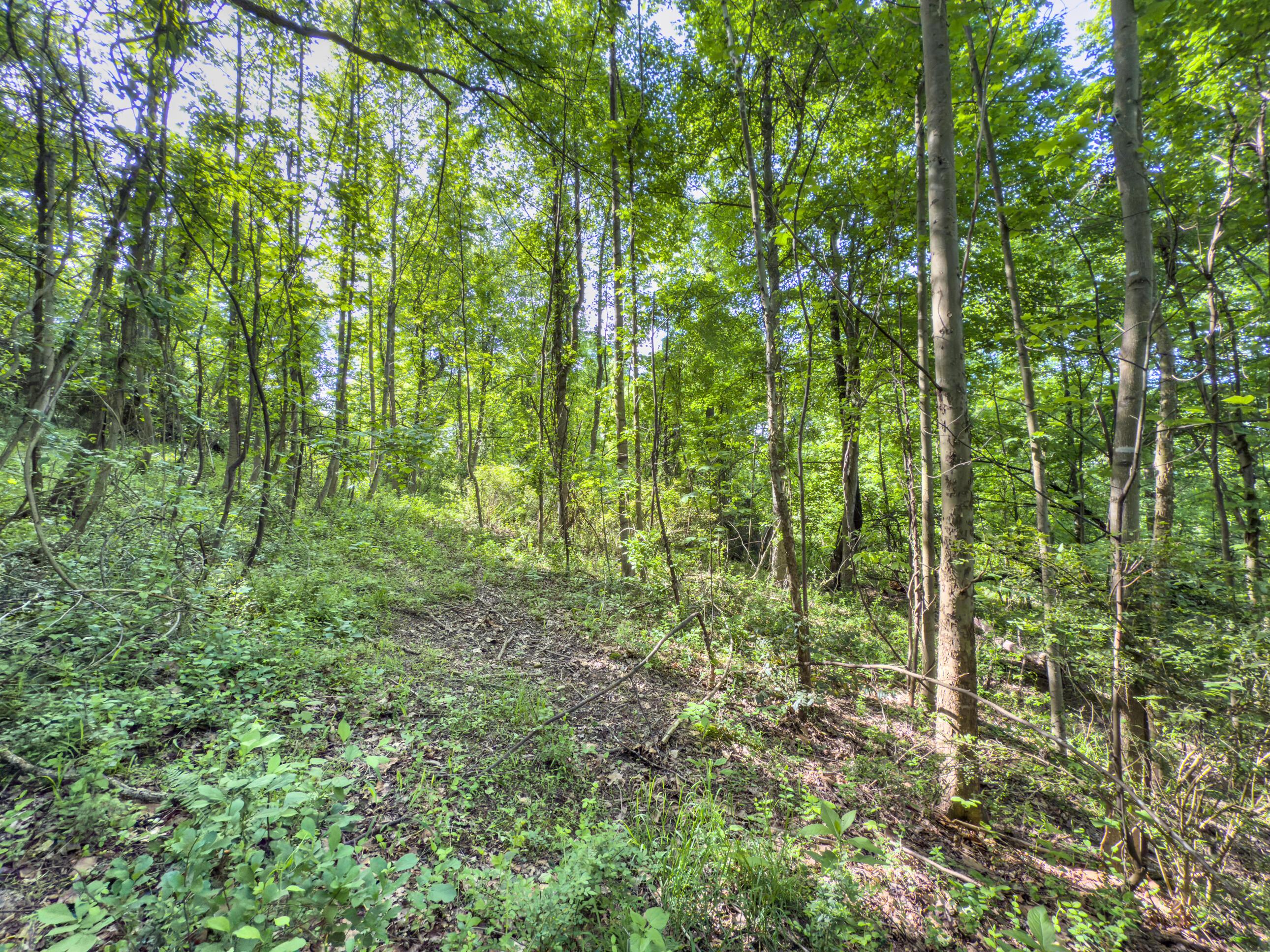 81 Township Road 158 Property Photo 17