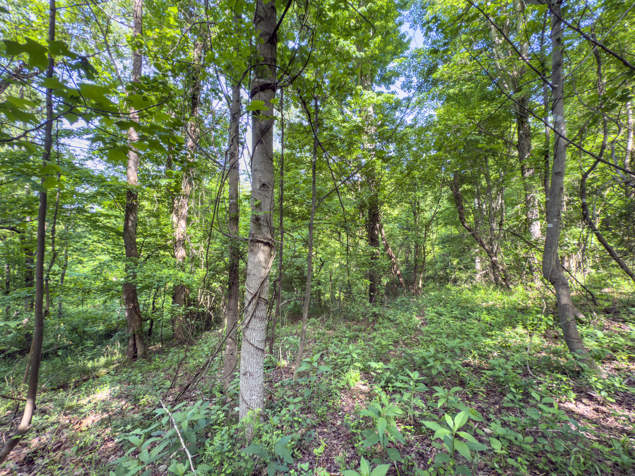 81 Township Road 158 Property Photo 18