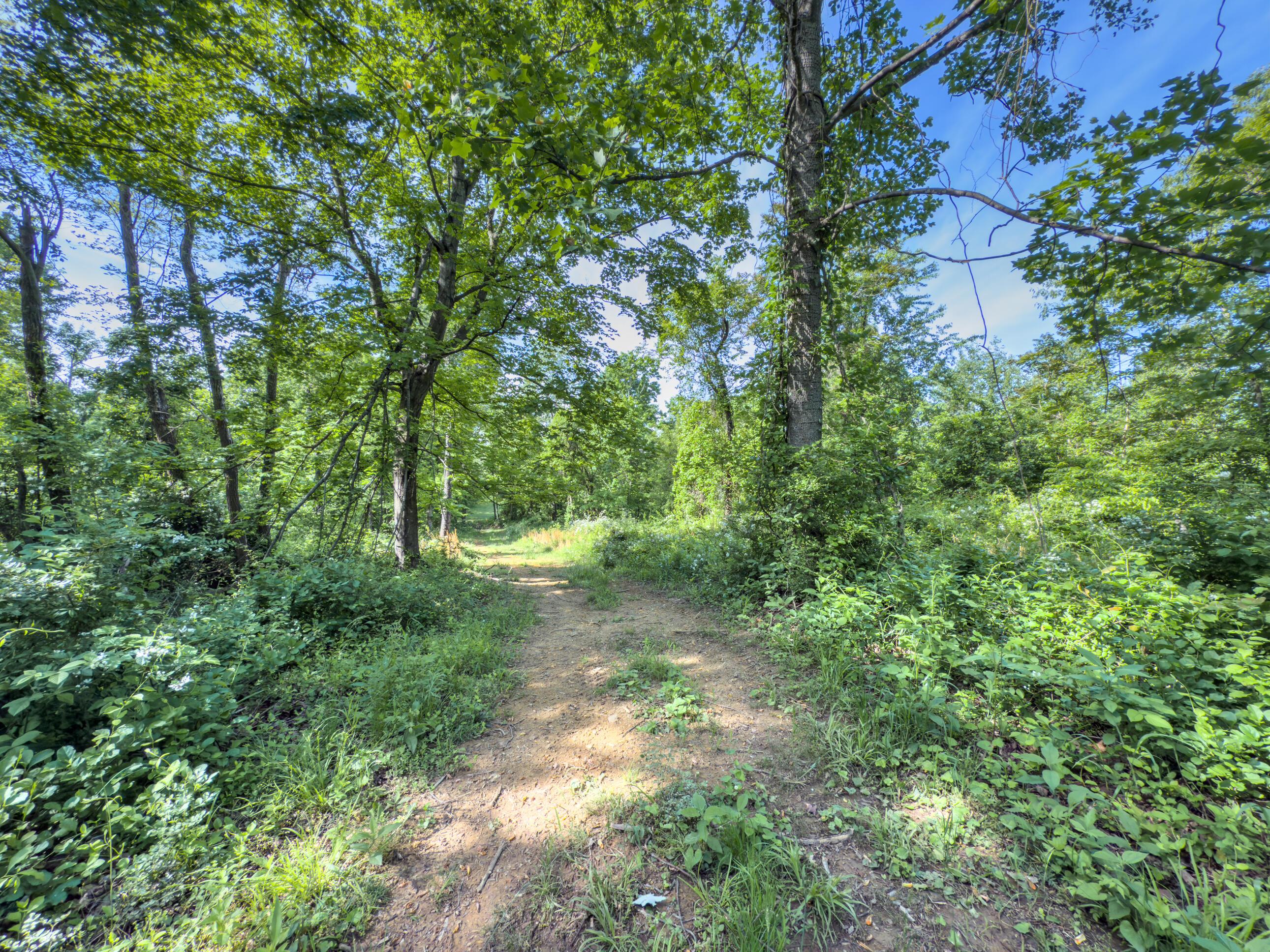 81 Township Road 158 Property Photo 22