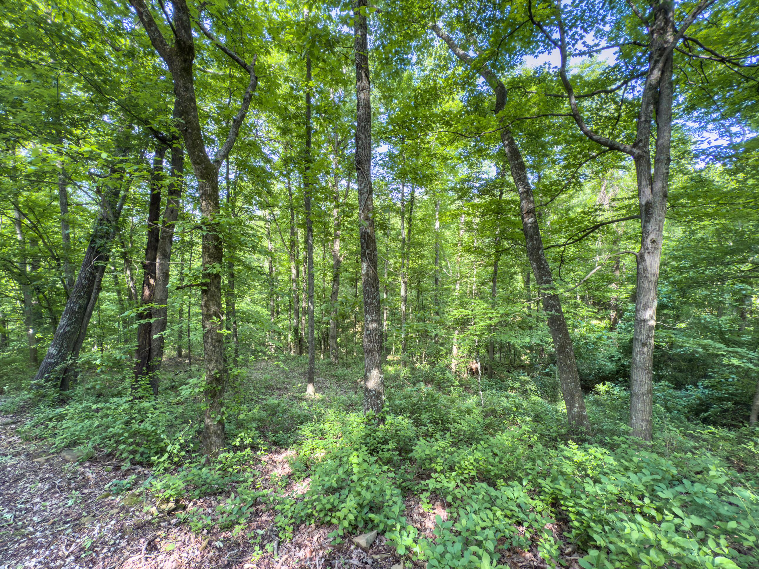 81 Township Road 158 Property Photo 27