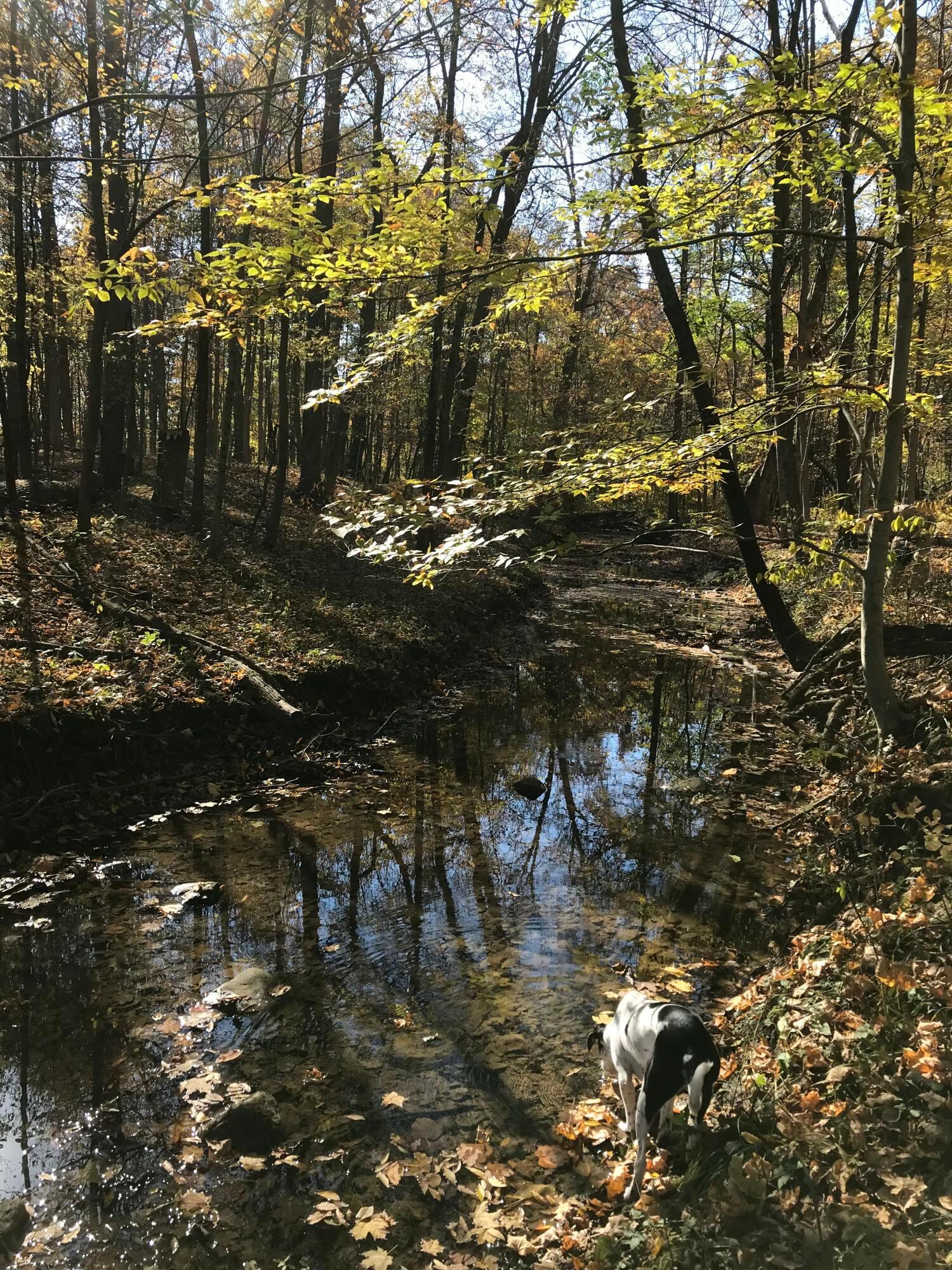 0 Hartford Road Property Photo 7