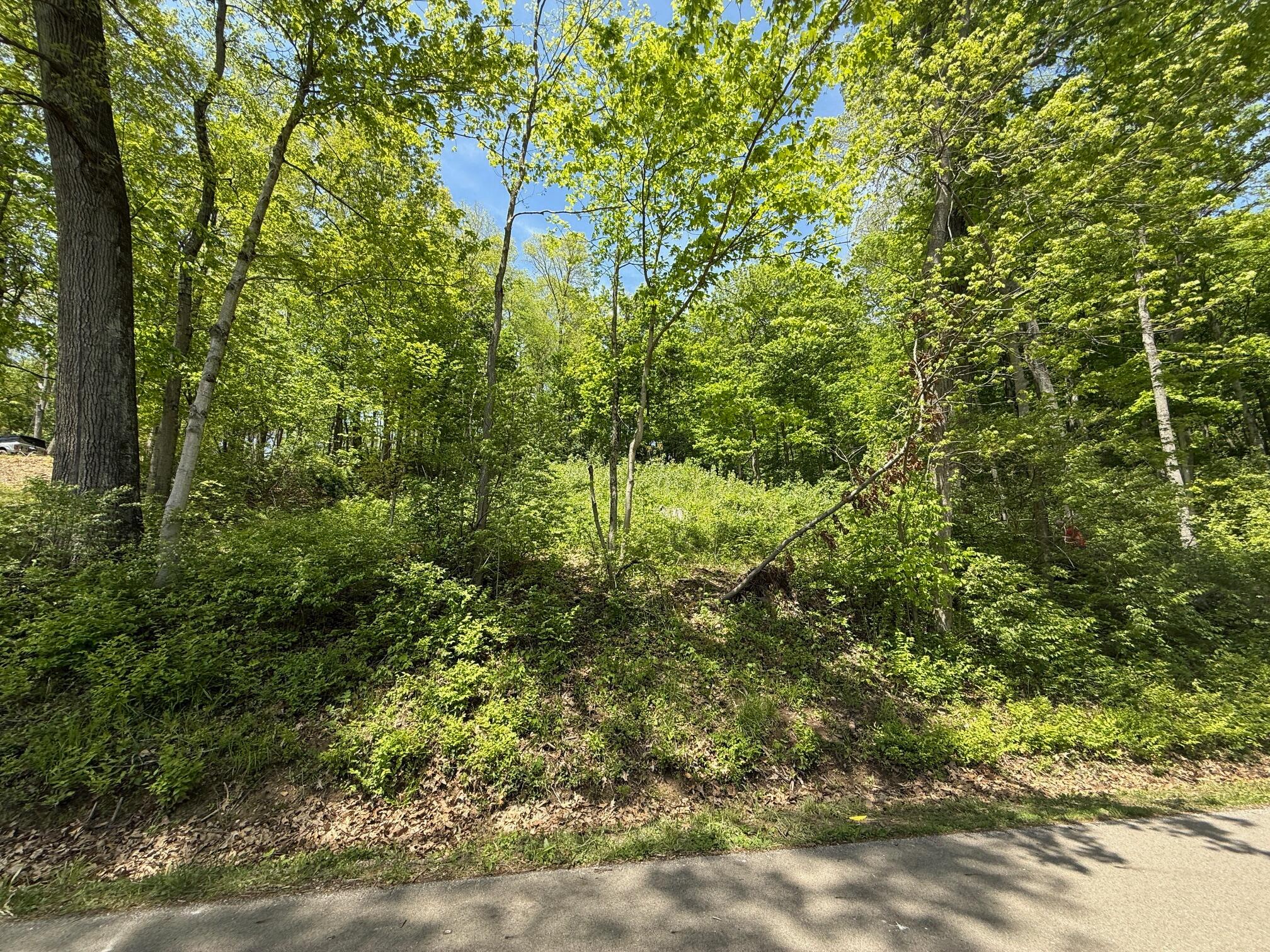 178 Avon Place Property Photo 4