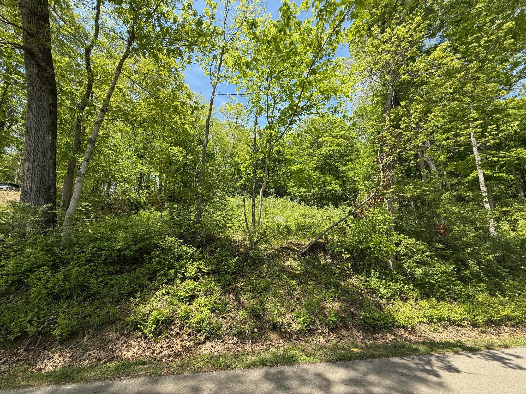 178 Avon Place Property Photo 5
