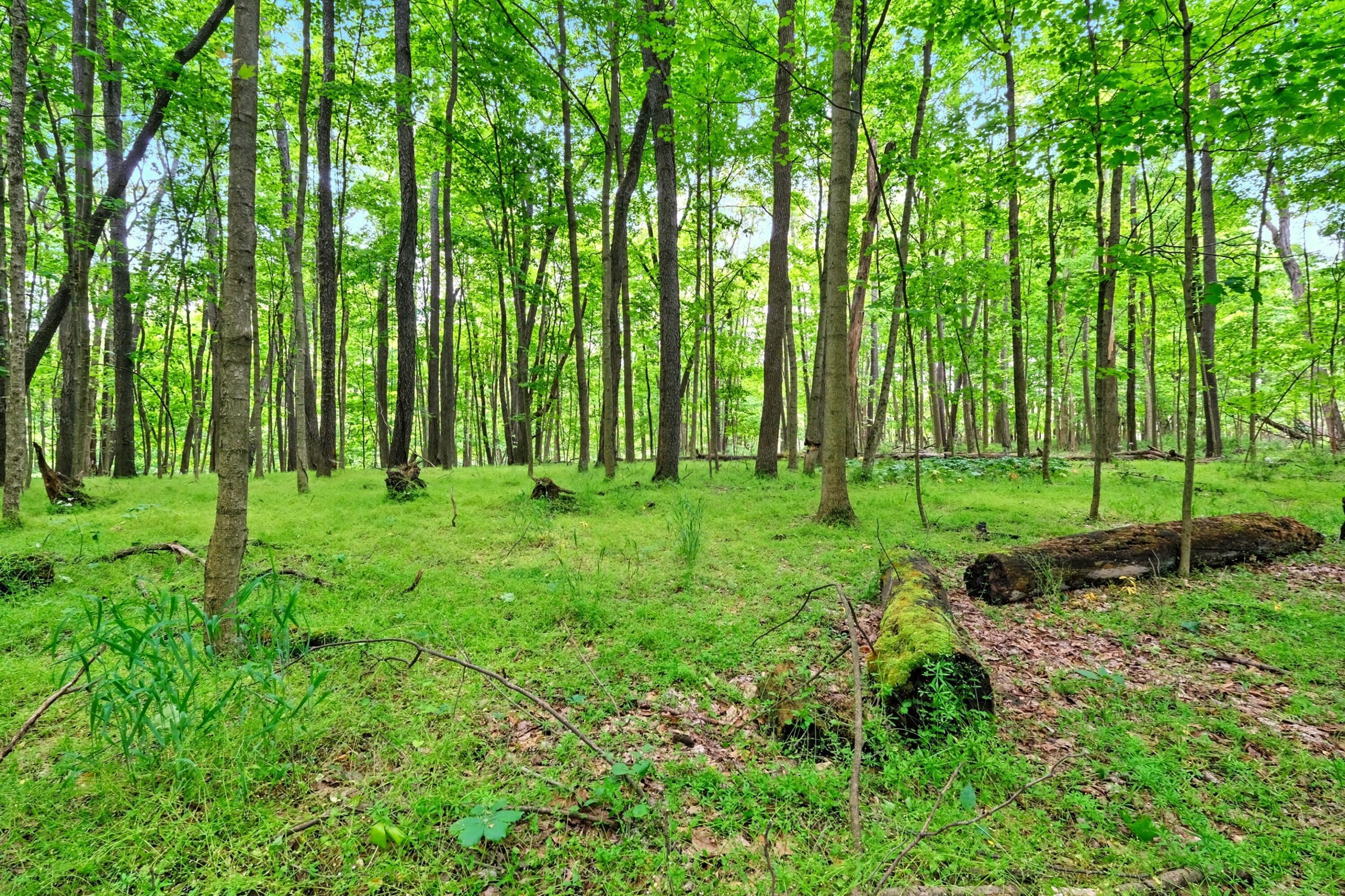 23080 Stull Road Property Photo 22