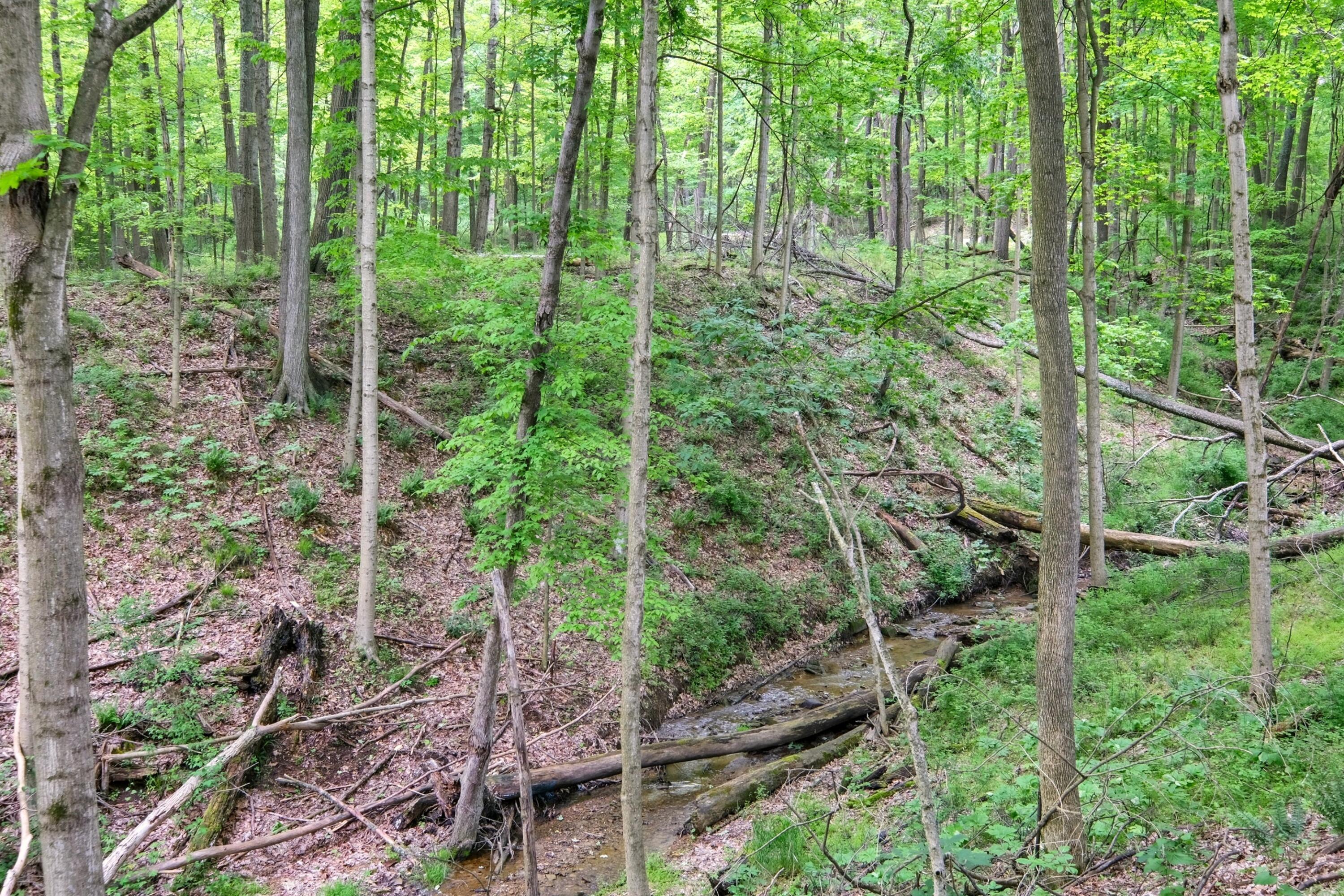 23080 Stull Road Property Photo 27