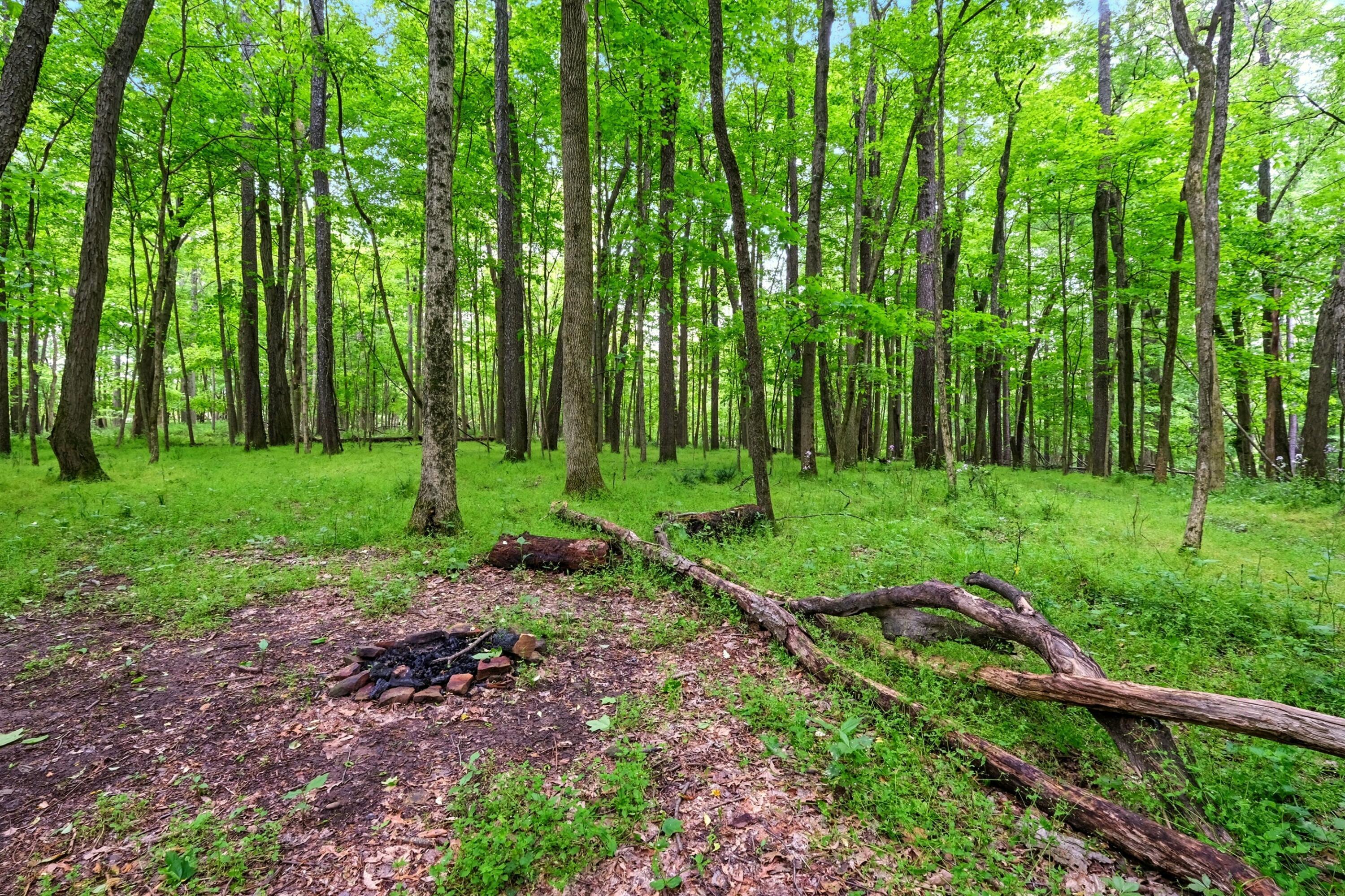 23080 Stull Road Property Photo 40