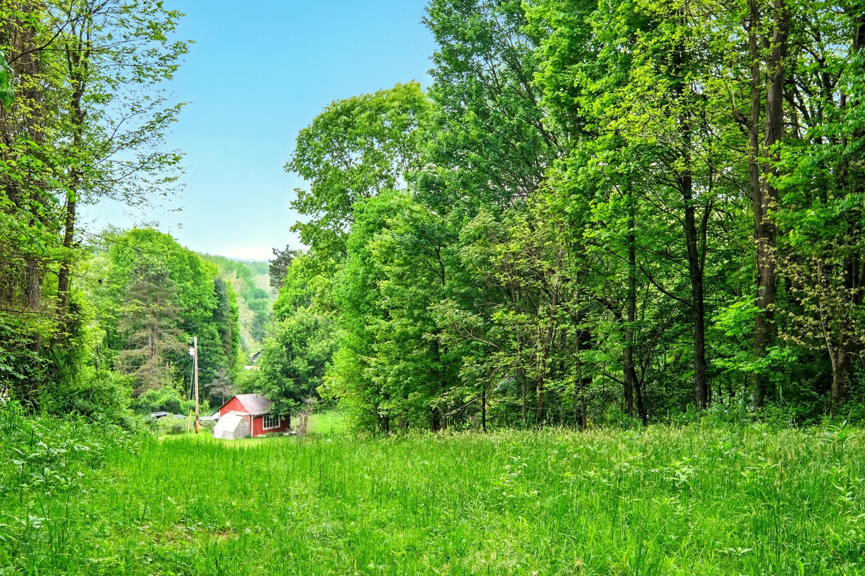 23080 Stull Road Property Photo 41