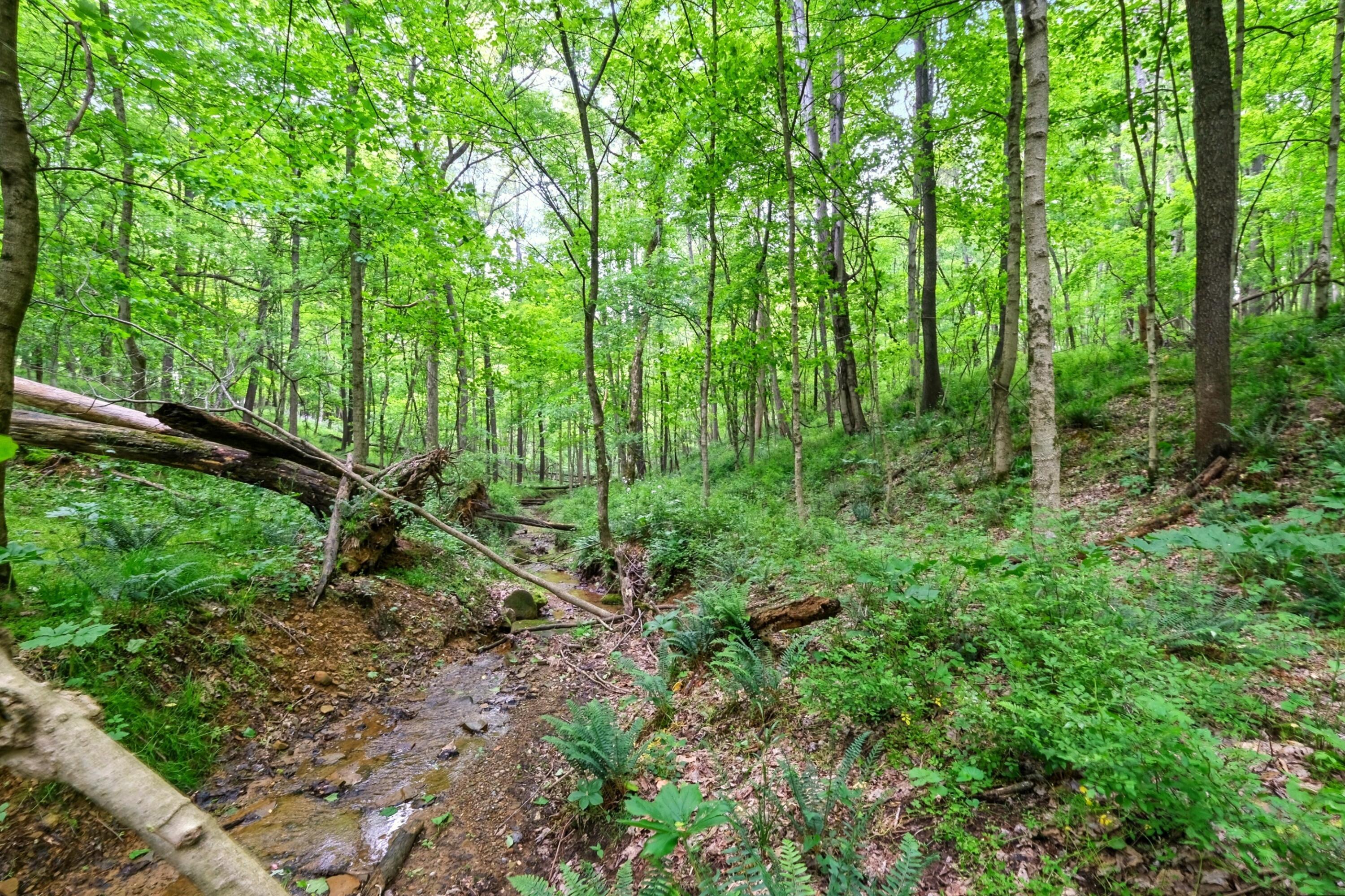 23080 Stull Road Property Photo 47