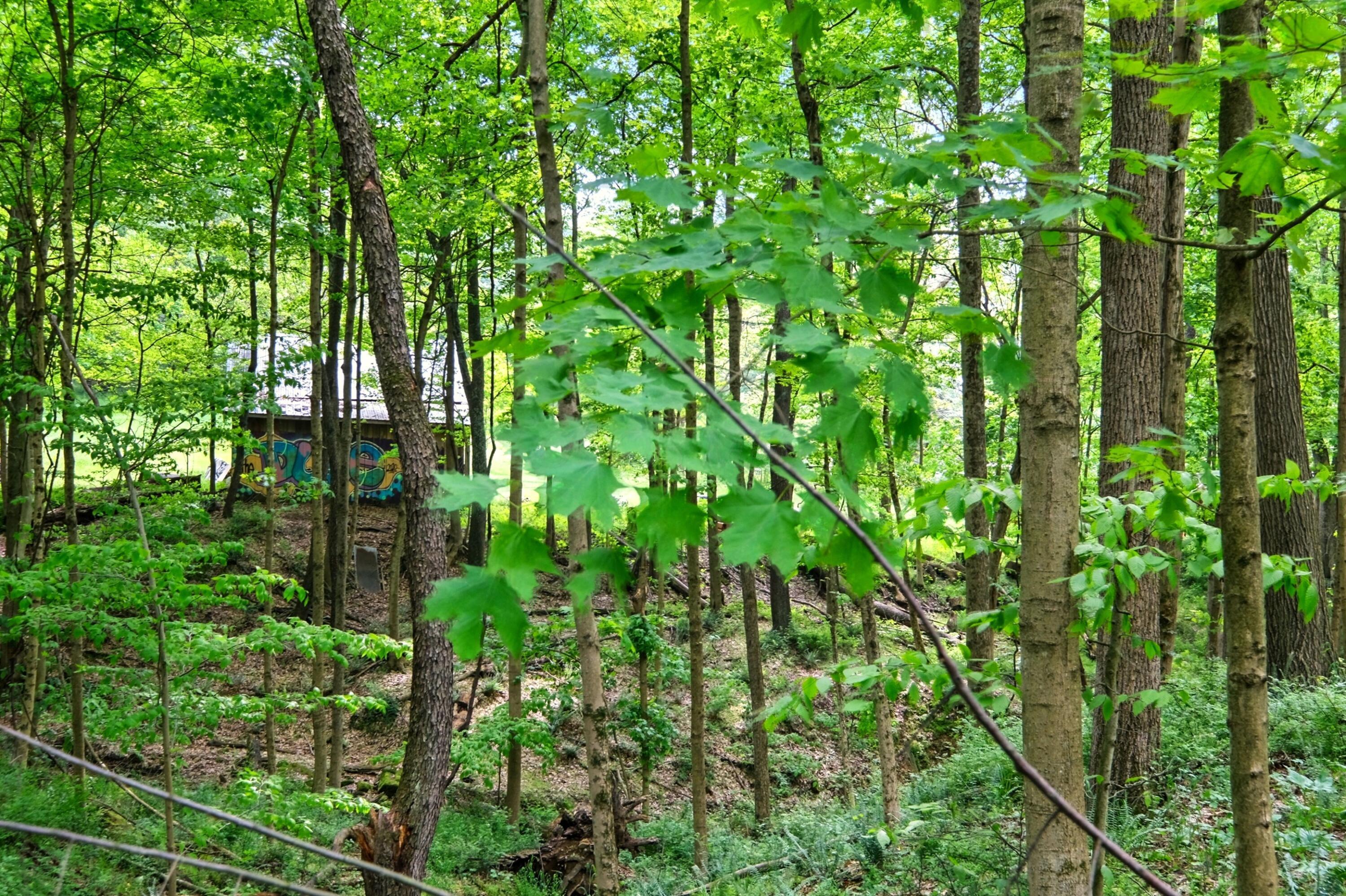23080 Stull Road Property Photo 48