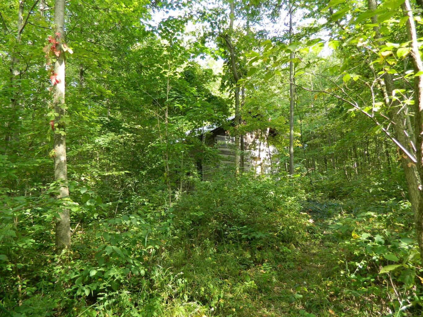30650 State Route 739 Property Photo 11