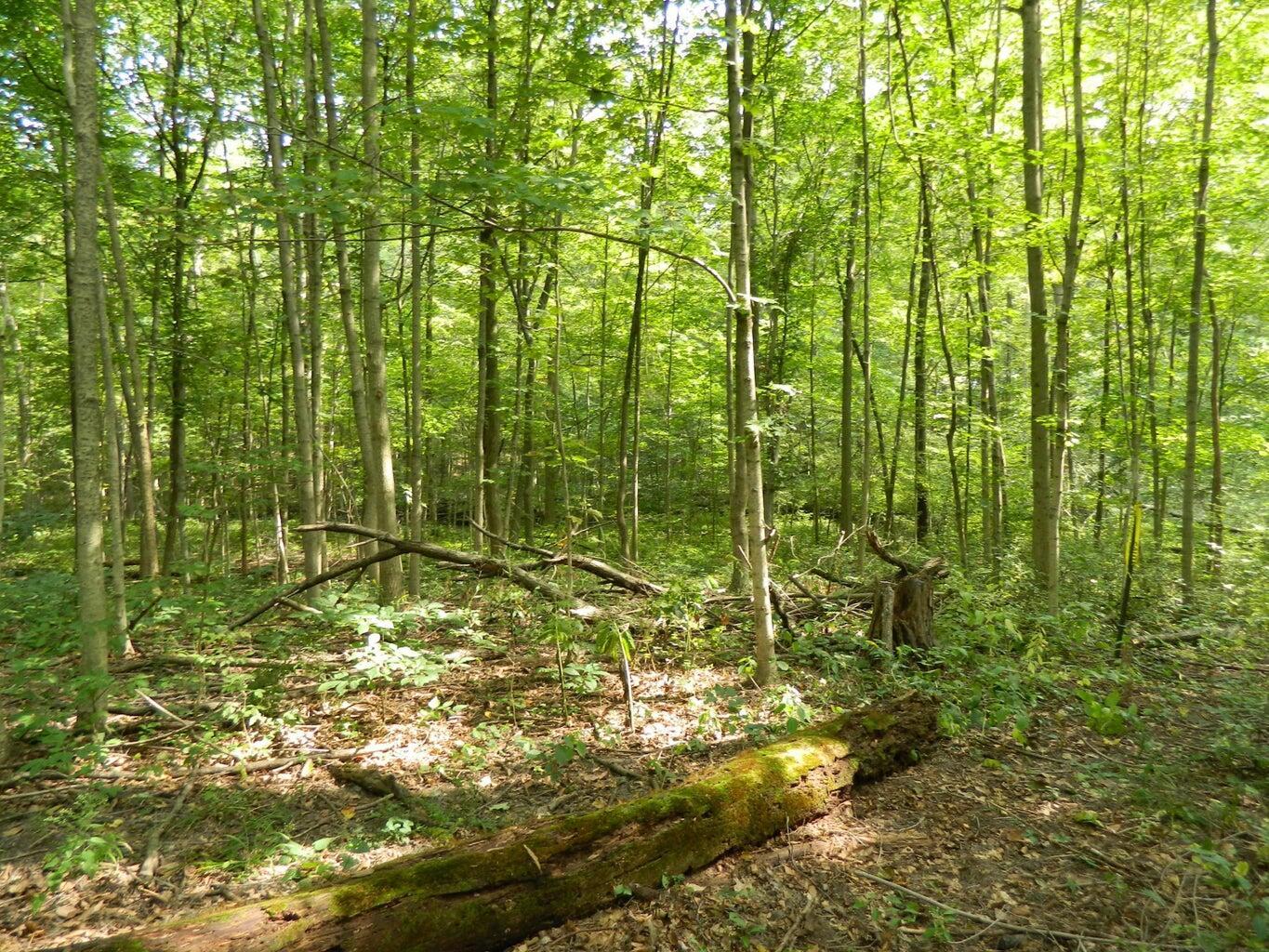 30650 State Route 739 Property Photo 14