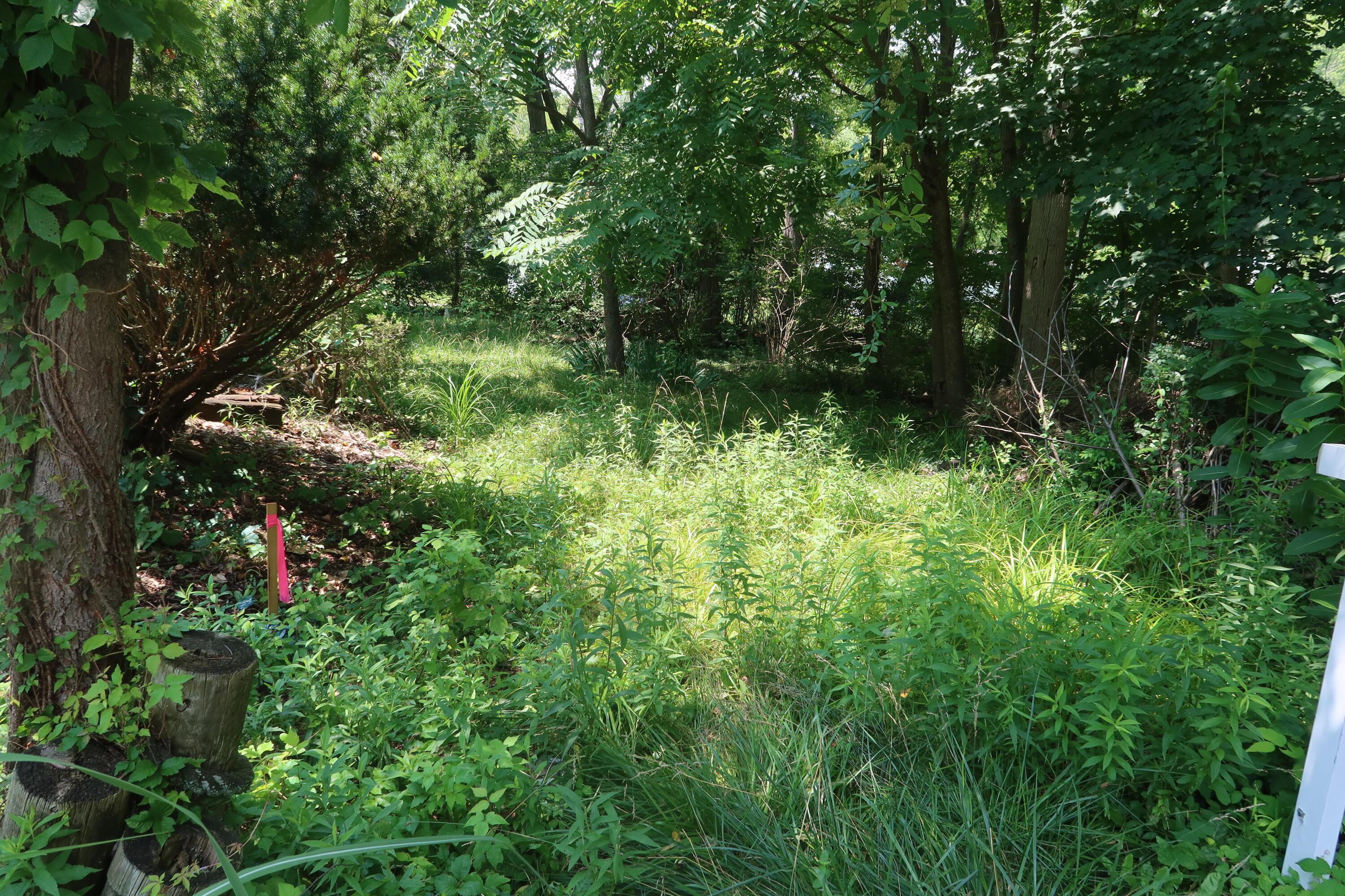 0 Forrest Road Ne Property Photo 1