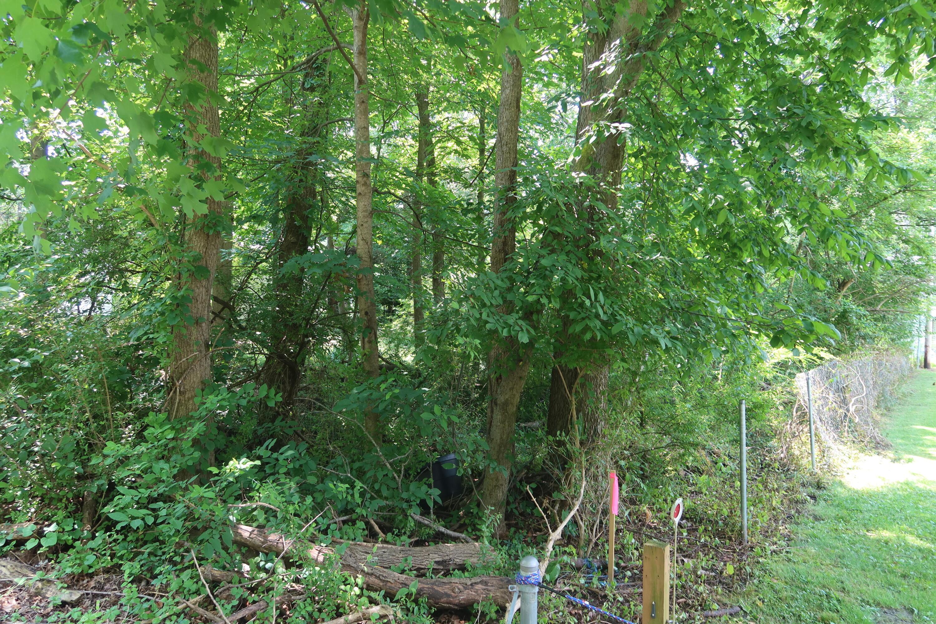 0 Forrest Road Ne Property Photo 4