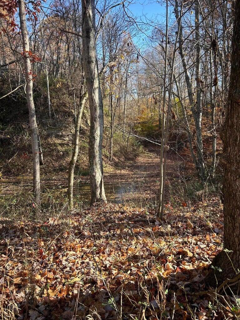 4775 Township Road 226 Property Photo 26
