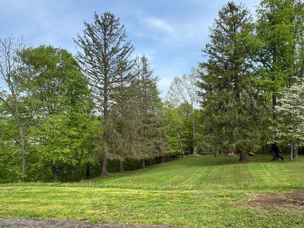 95 Sunset Drive Property Photo 24