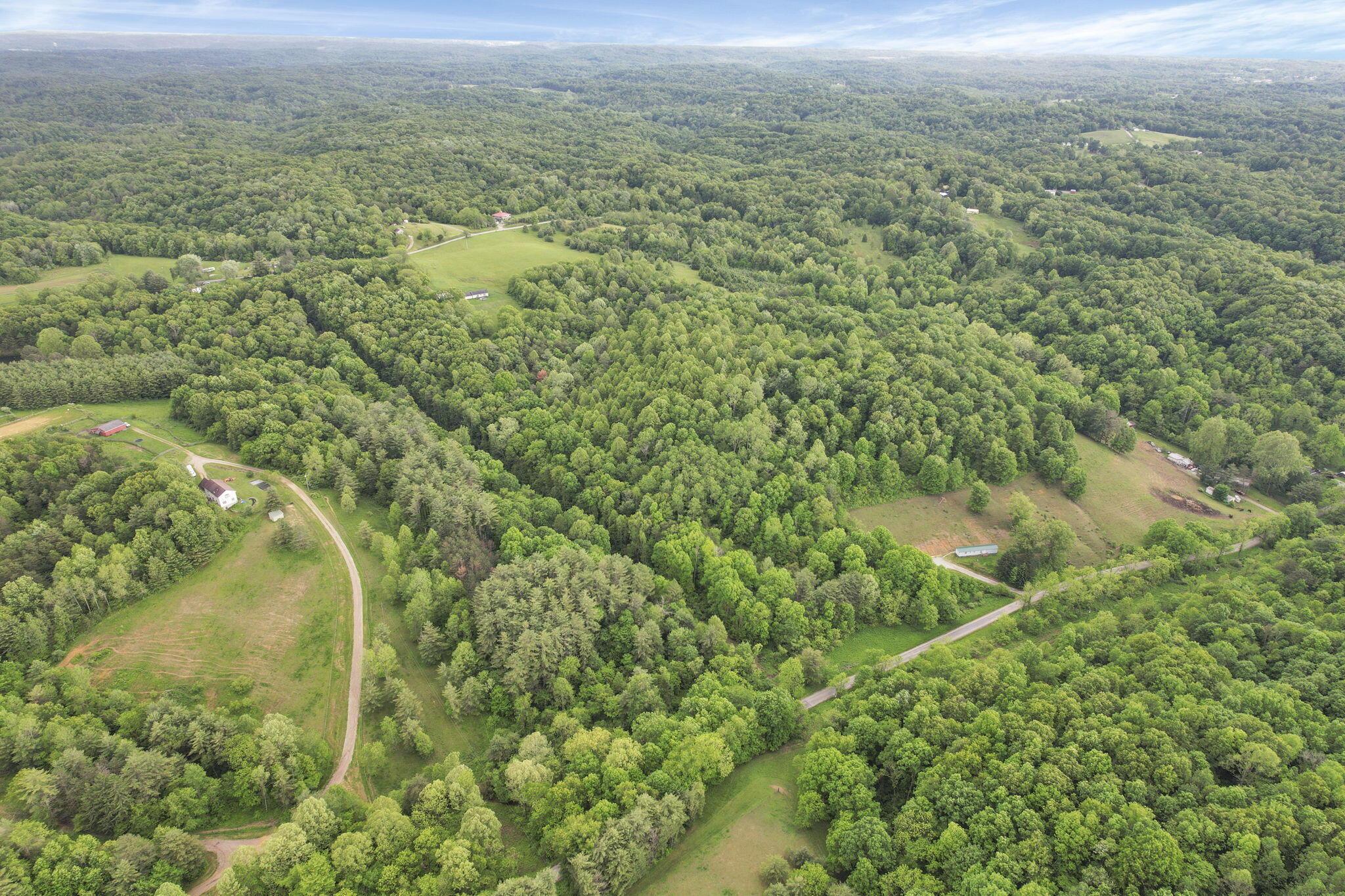 11250 Grass Run Road Property Photo 16