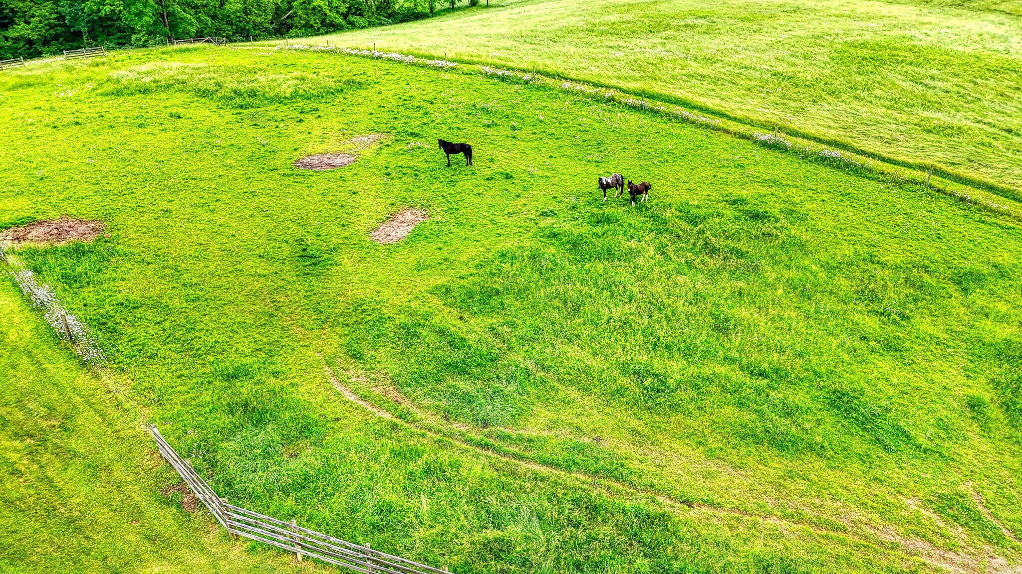 10057 State Route 776 Property Photo 56