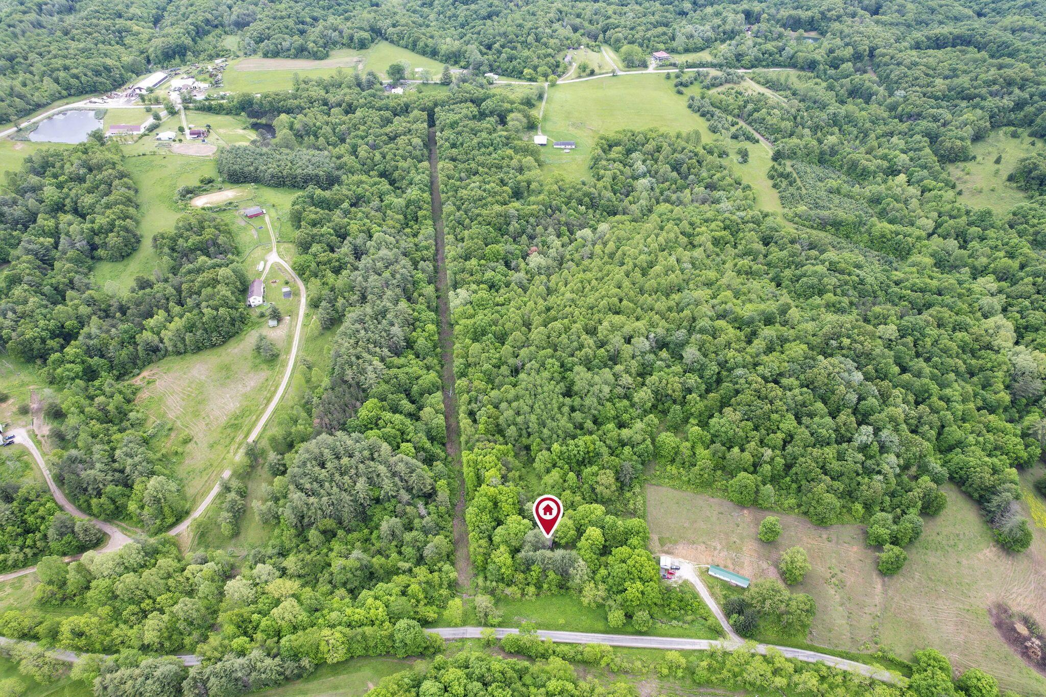 11250 Grass Run Road Property Photo 3