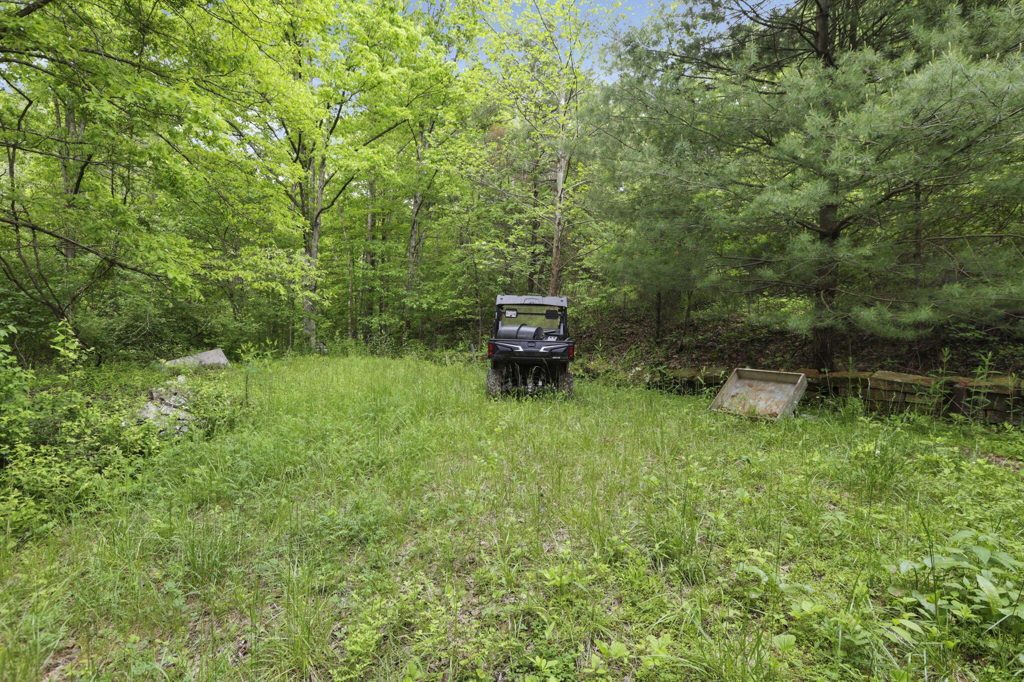 11250 Grass Run Road Property Photo 7